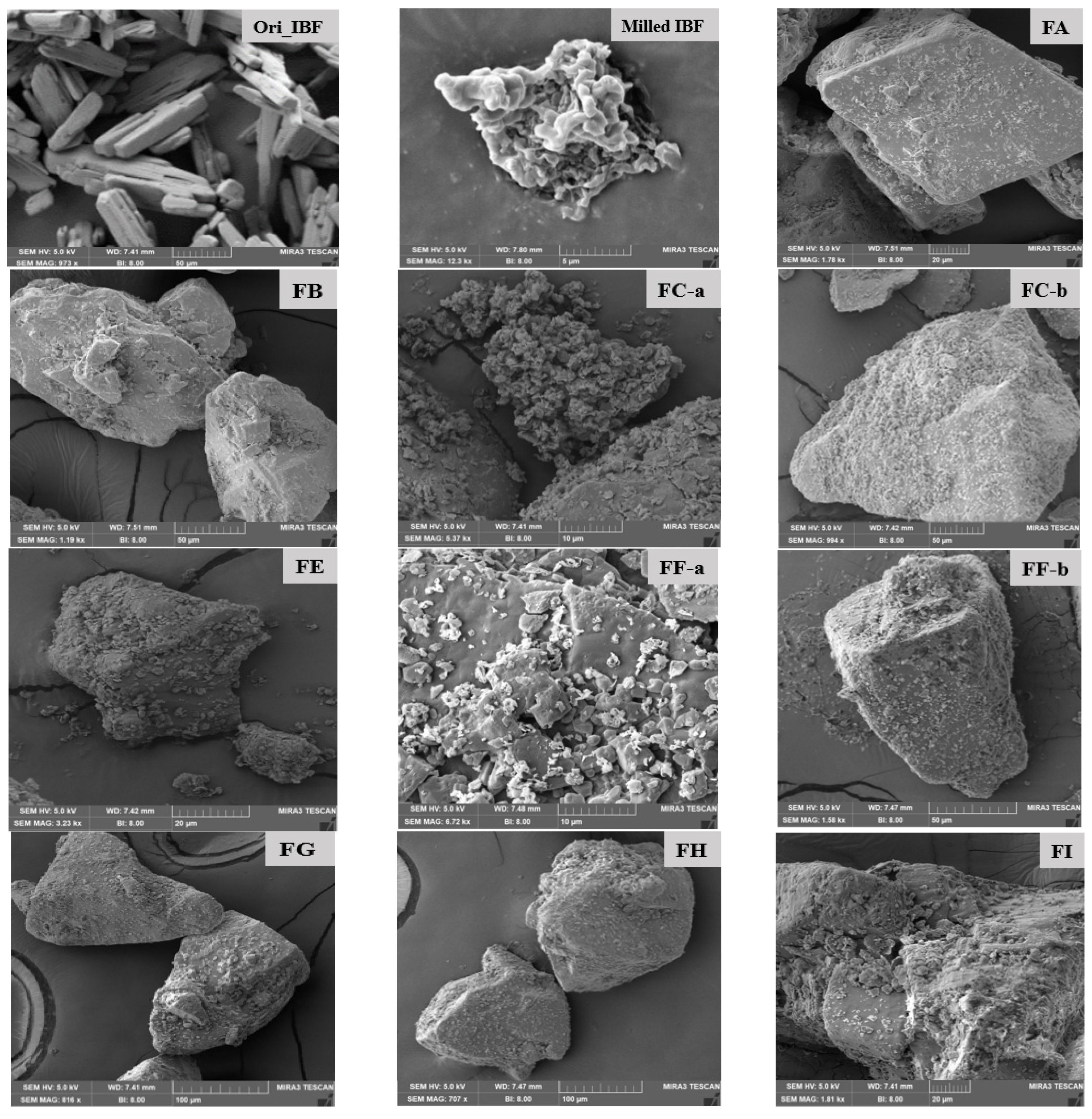 Pharmaceutics 15 00674 g002a Pharmaceutics 15 00674 g002a