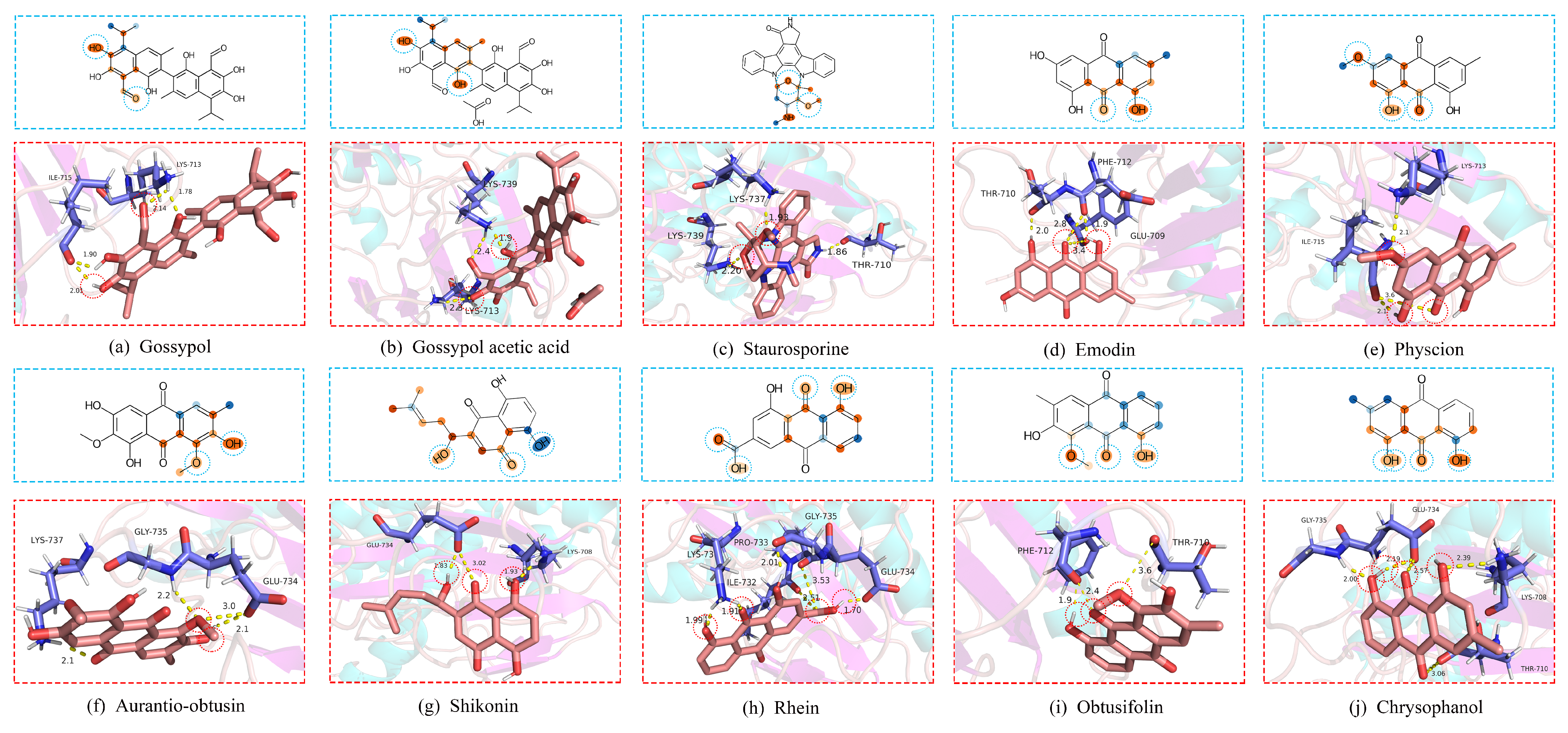 Pharmaceutics 15 00675 g004