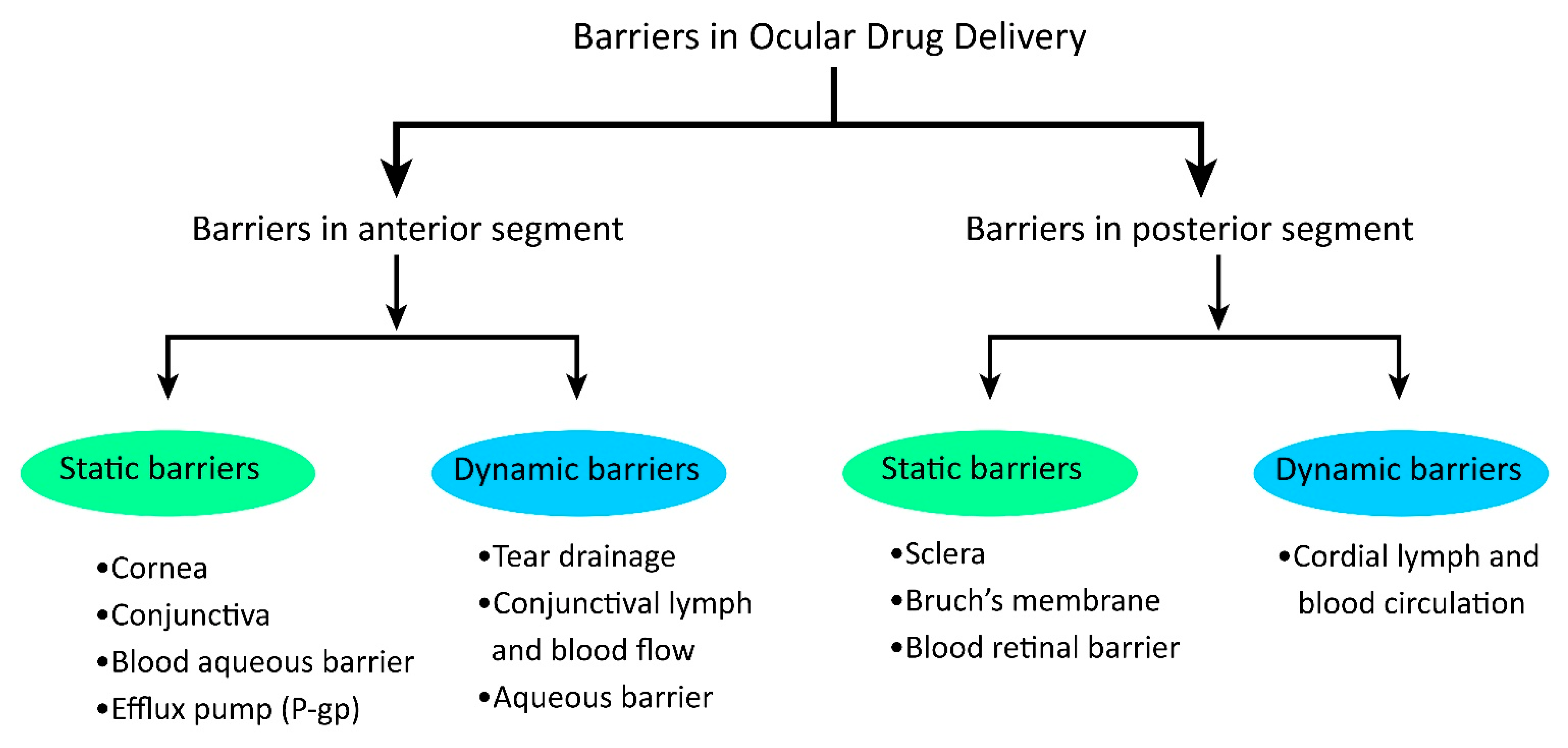 Pharmaceutics 15 00681 g004