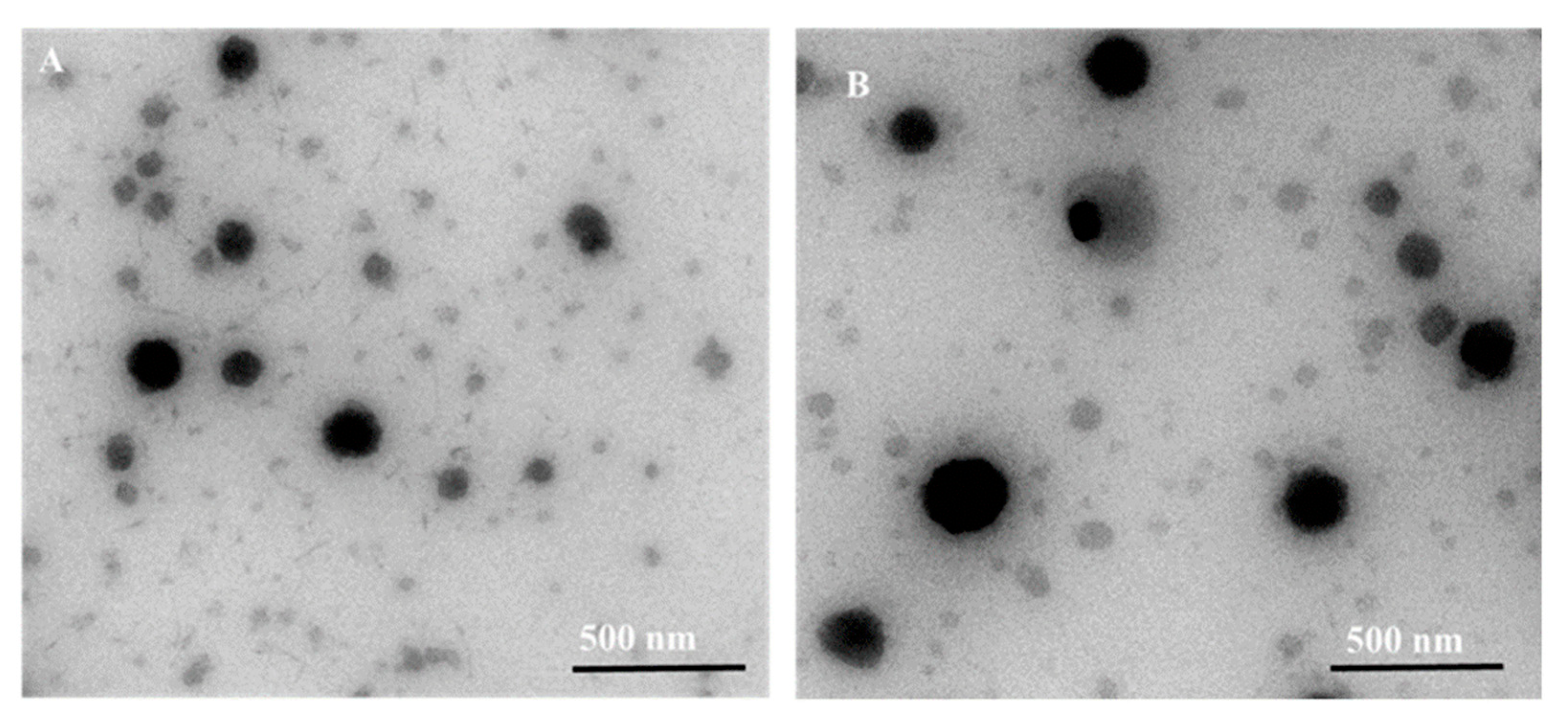 Pharmaceutics 15 00681 g007
