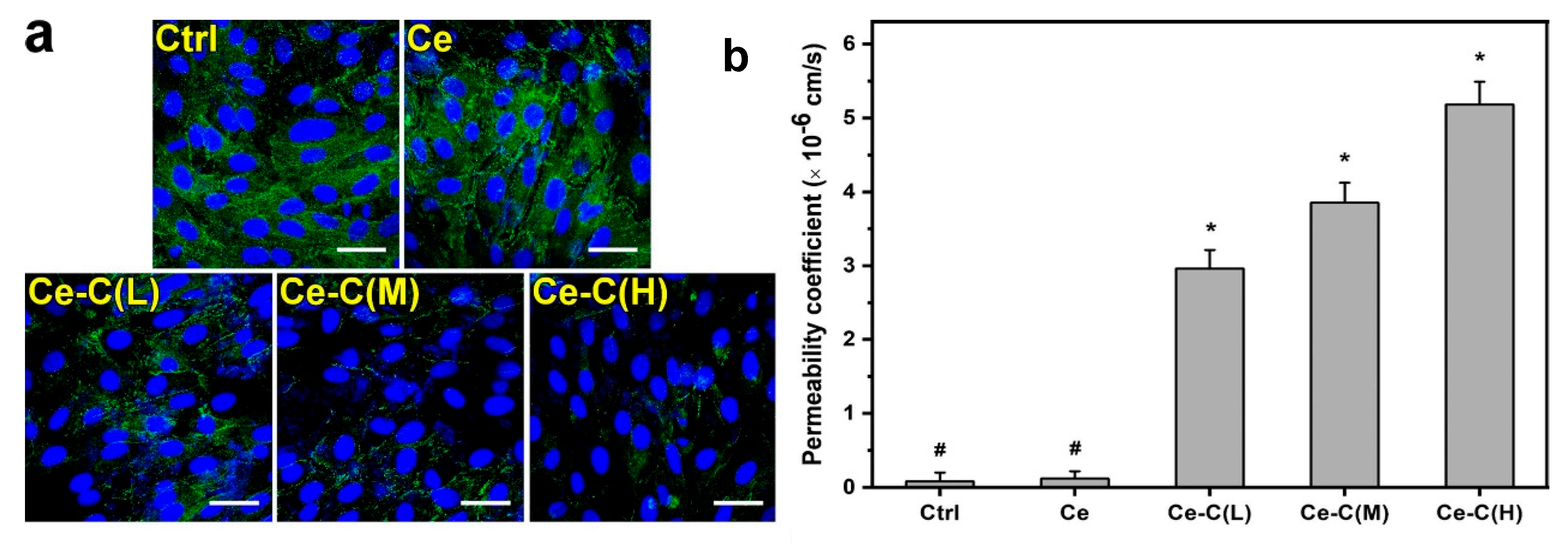 Pharmaceutics 15 00681 g008