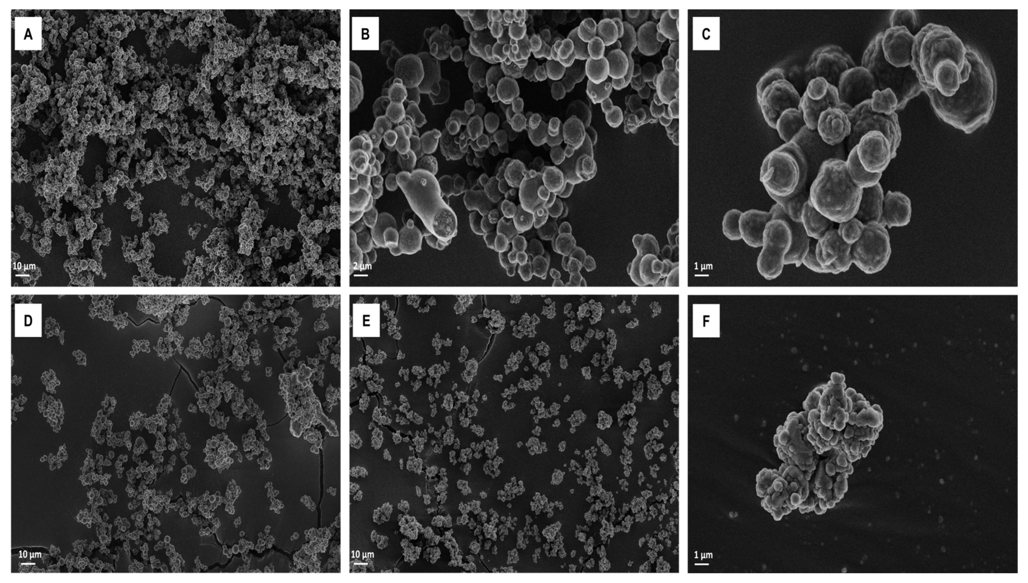 Pharmaceutics 15 00683 g004