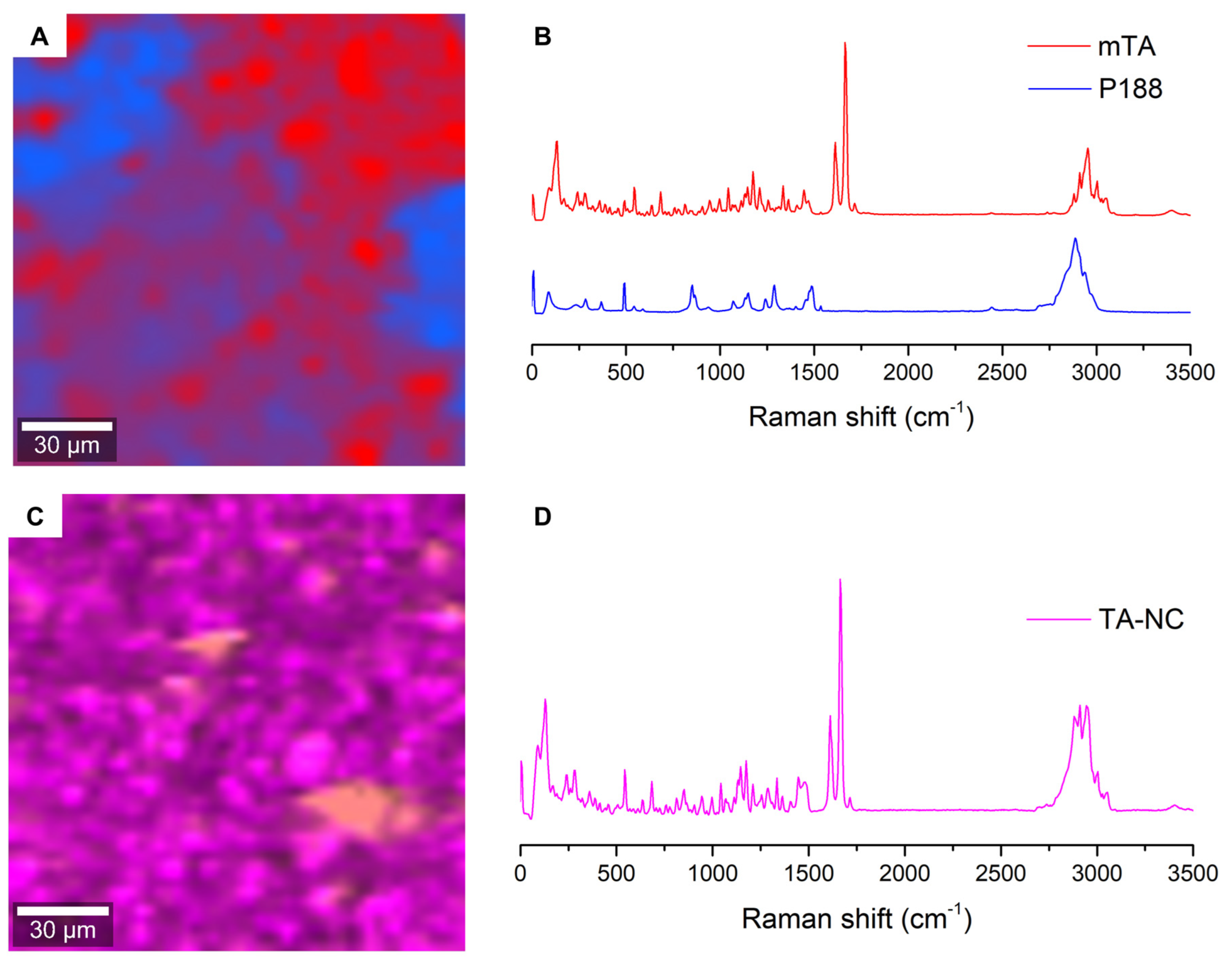 Pharmaceutics 15 00683 g008