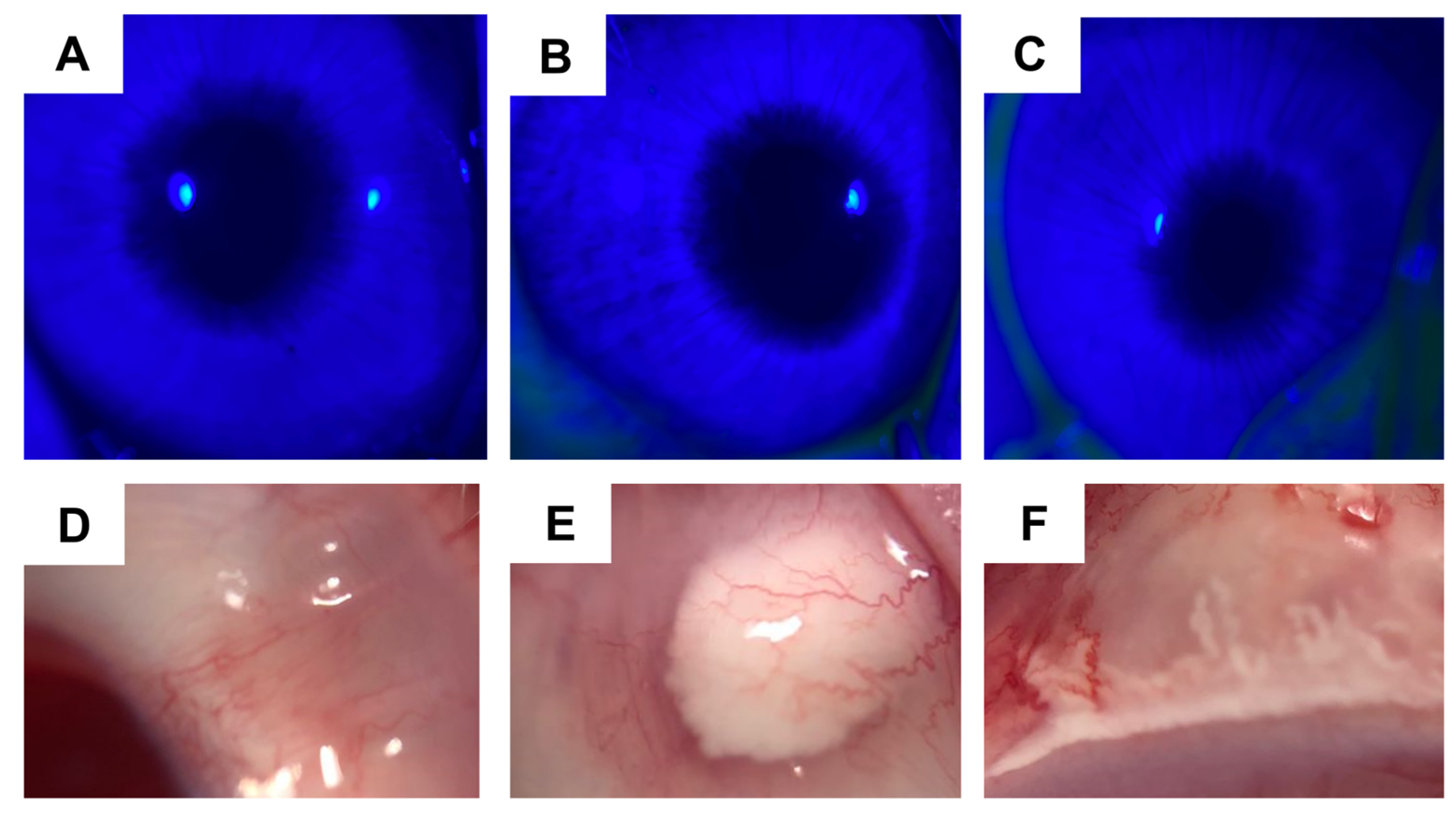 Pharmaceutics 15 00683 g010