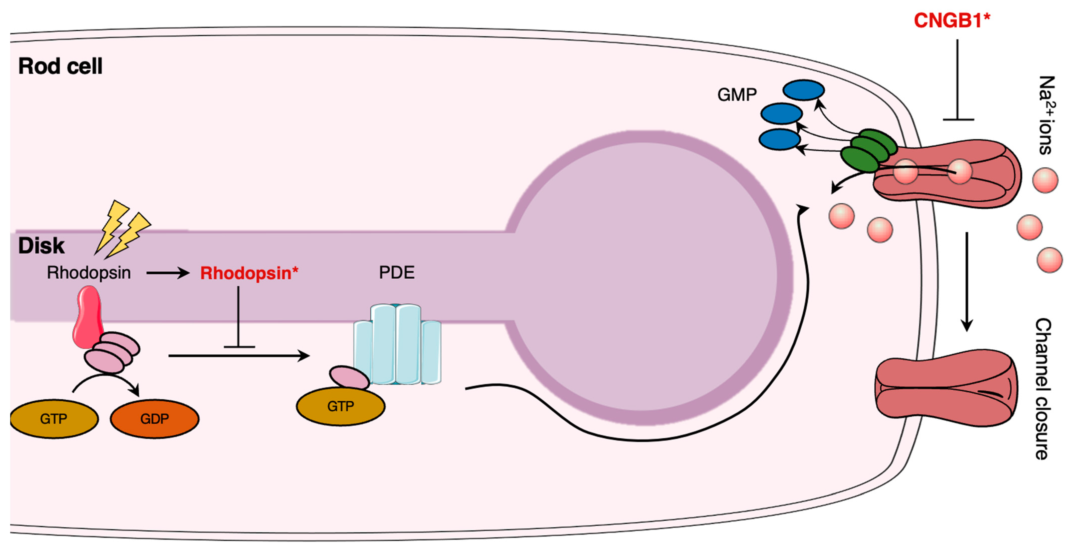 Pharmaceutics 15 00685 g002 Pharmaceutics 15 00685 g002