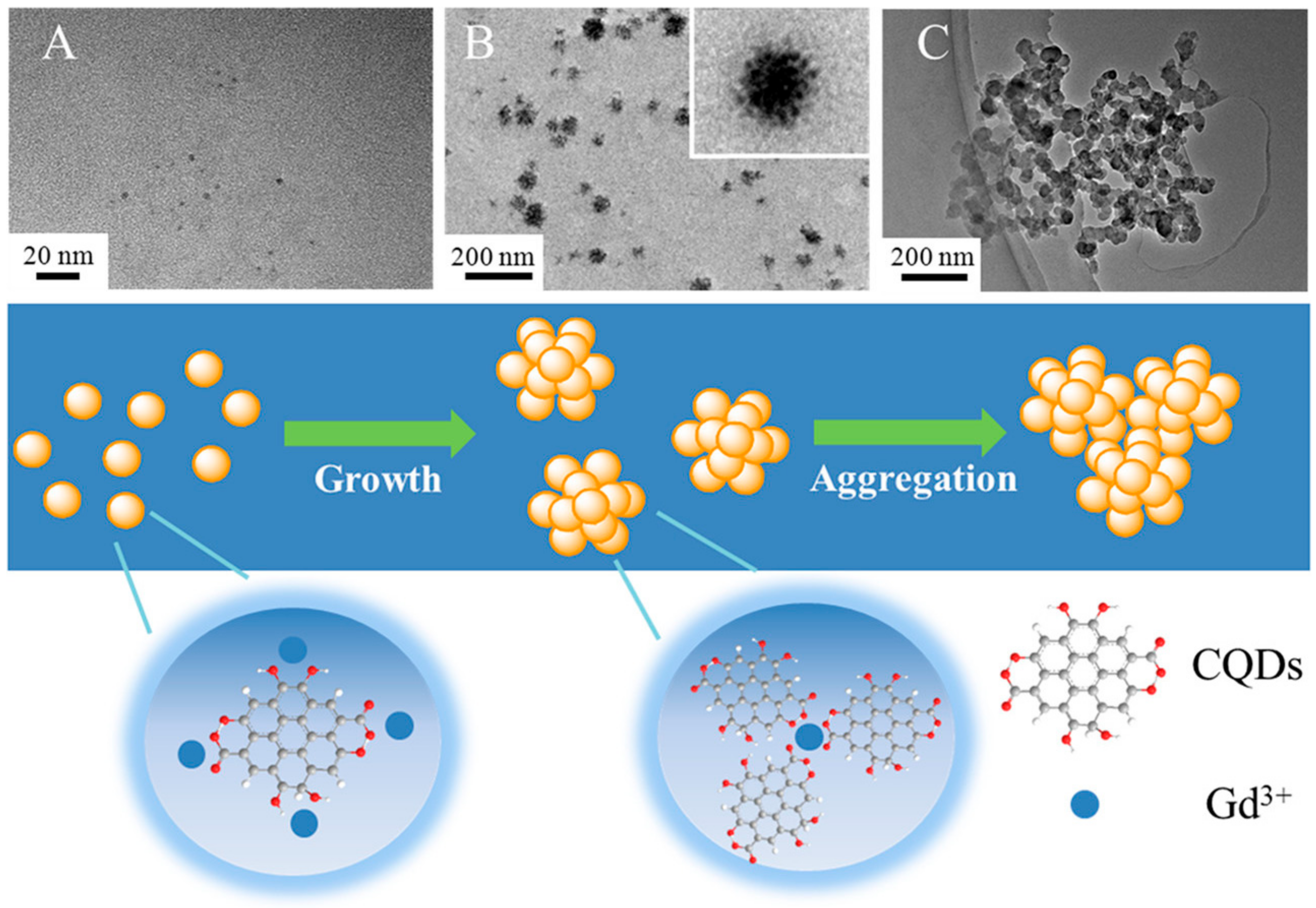 Pharmaceutics 15 00686 g007 Pharmaceutics 15 00686 g007