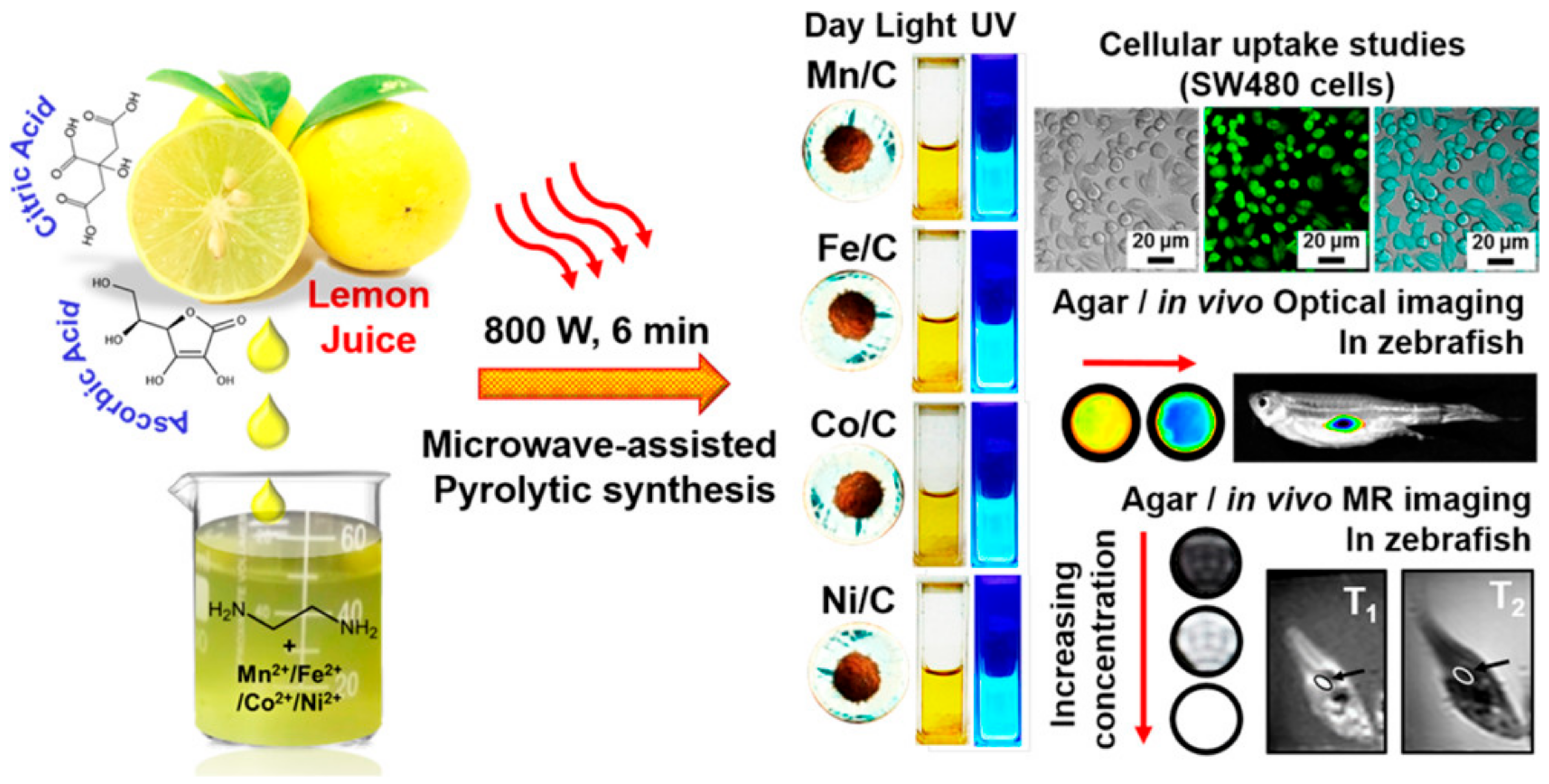 Pharmaceutics 15 00686 g008 Pharmaceutics 15 00686 g008