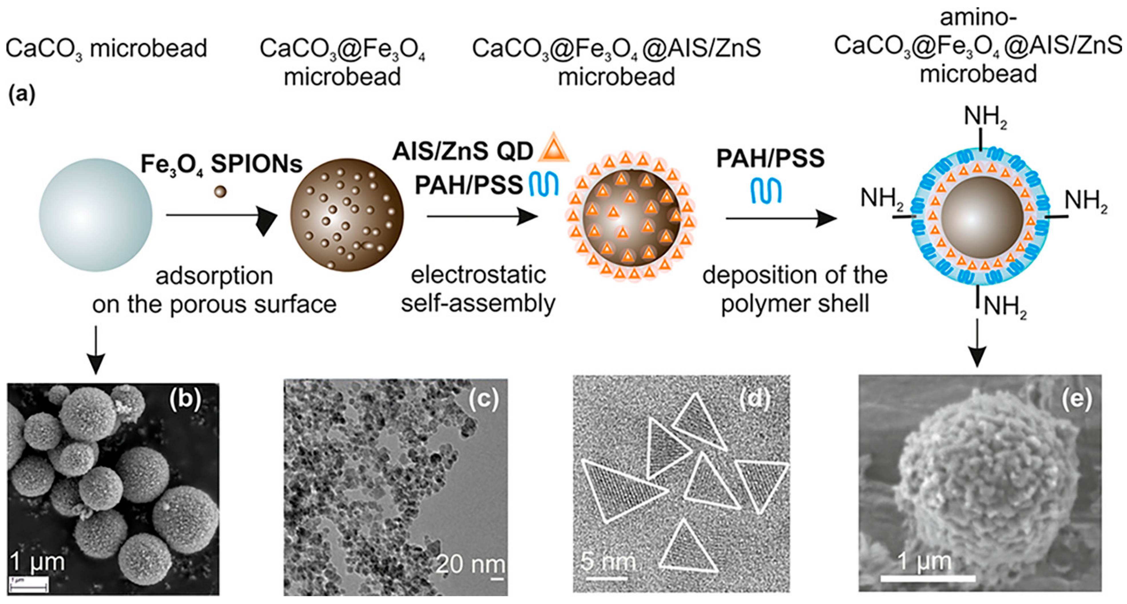 Pharmaceutics 15 00686 g010 Pharmaceutics 15 00686 g010