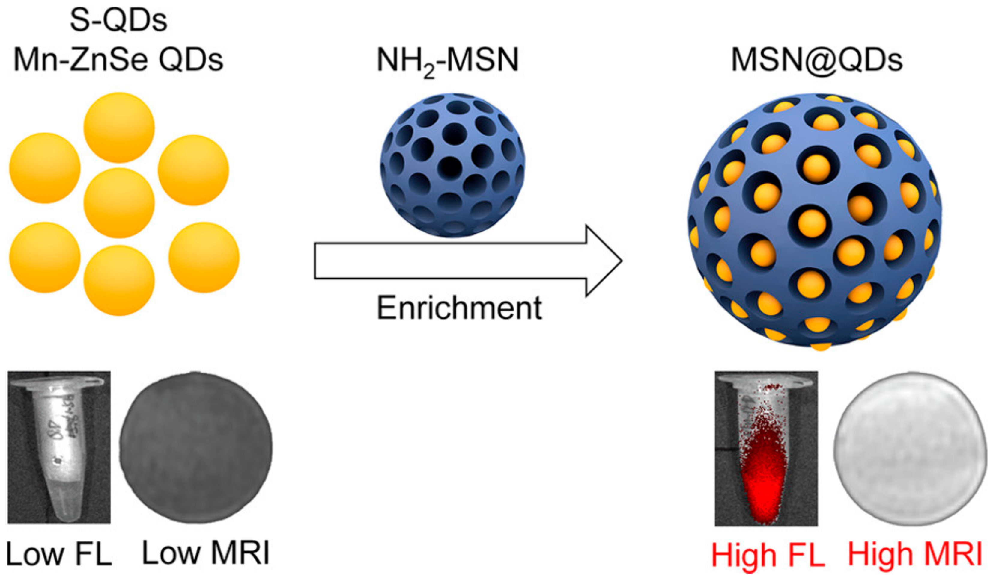 Pharmaceutics 15 00686 g015 Pharmaceutics 15 00686 g015