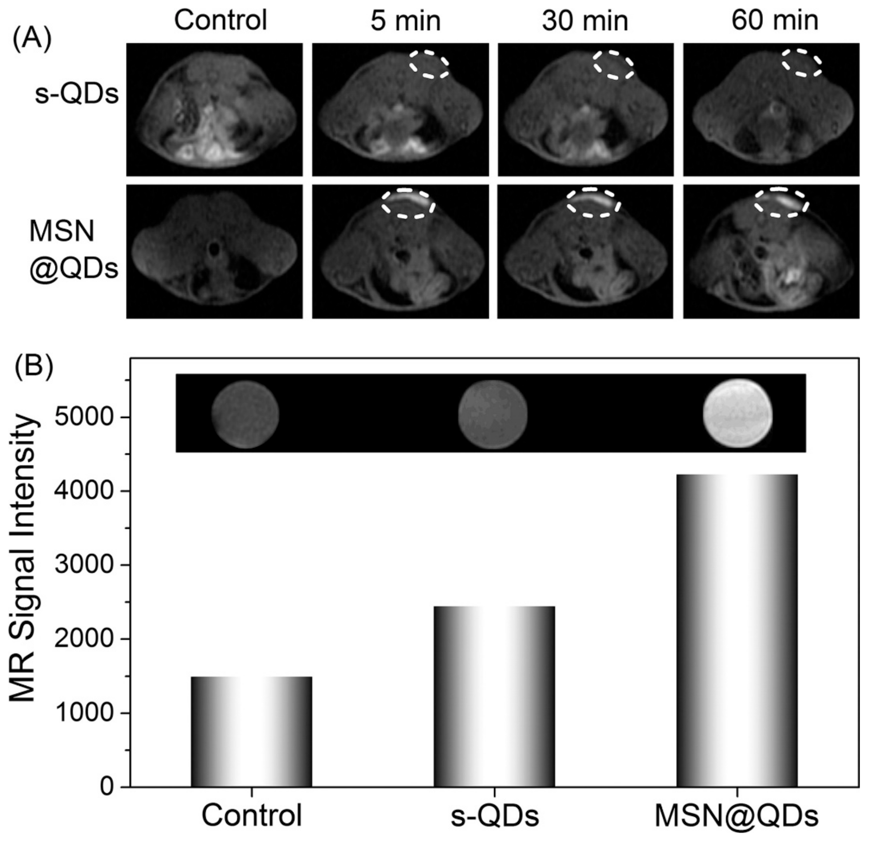 Pharmaceutics 15 00686 g016 Pharmaceutics 15 00686 g016
