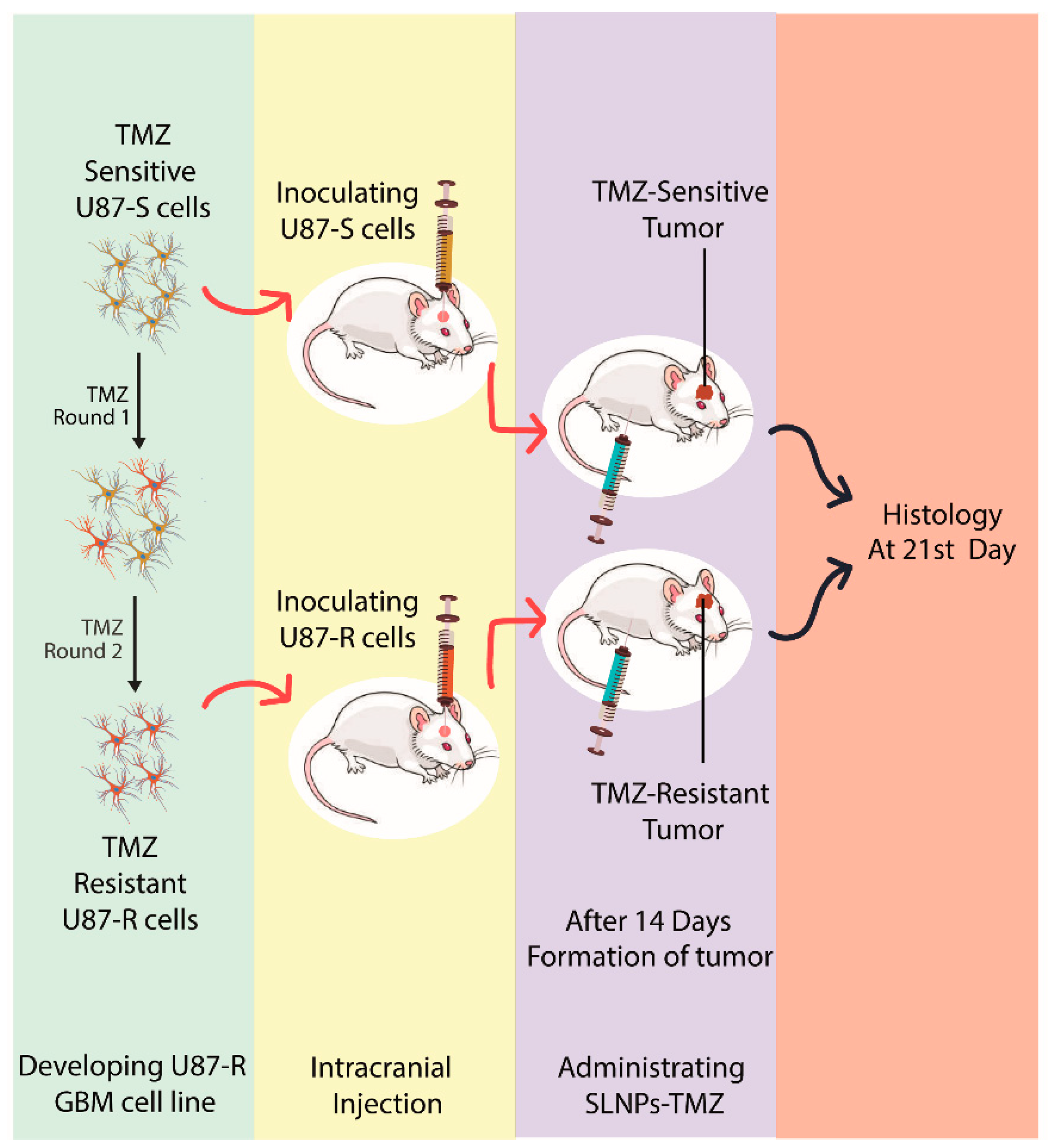 Pharmaceutics 15 00687 g003