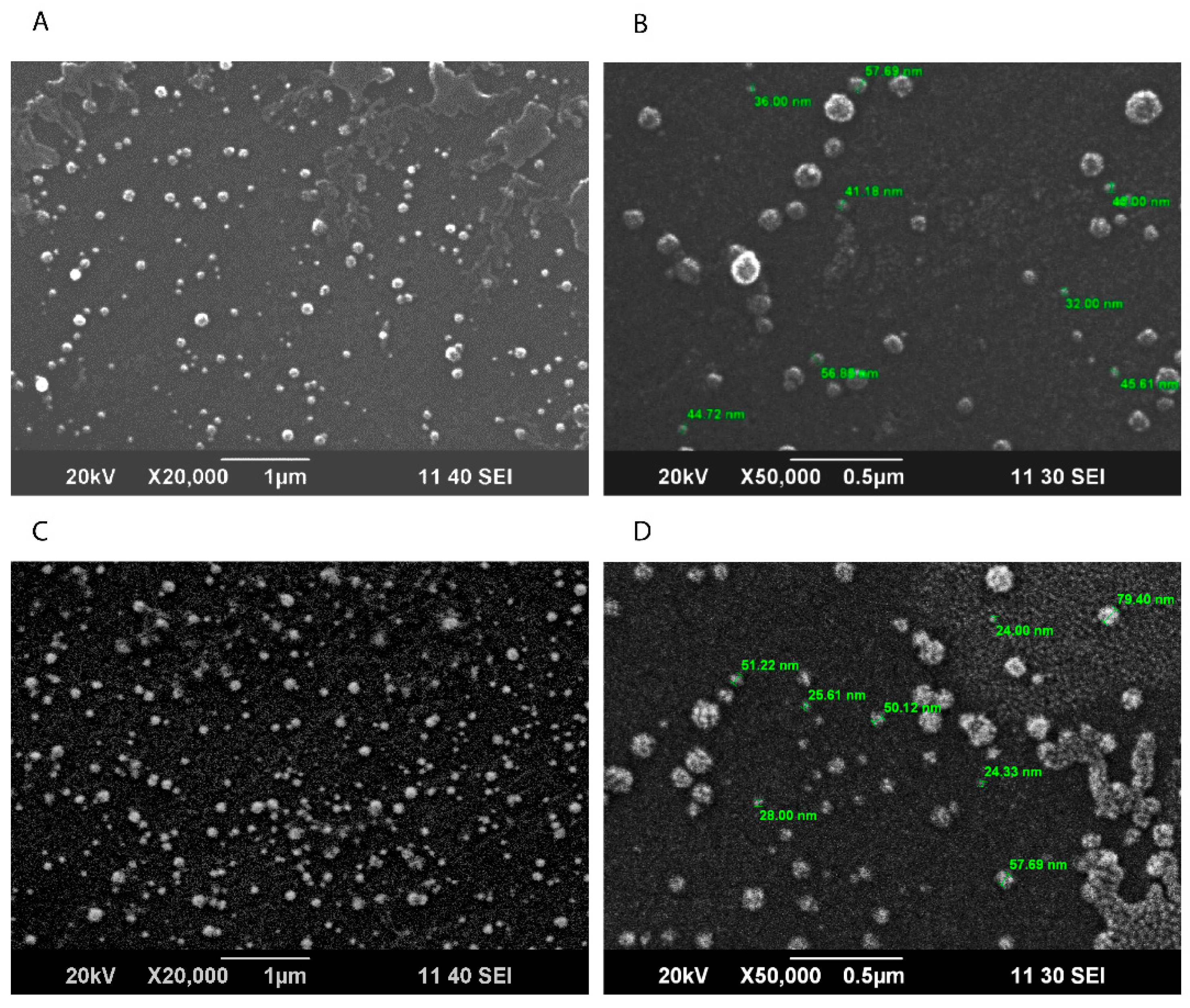 Pharmaceutics 15 00687 g004
