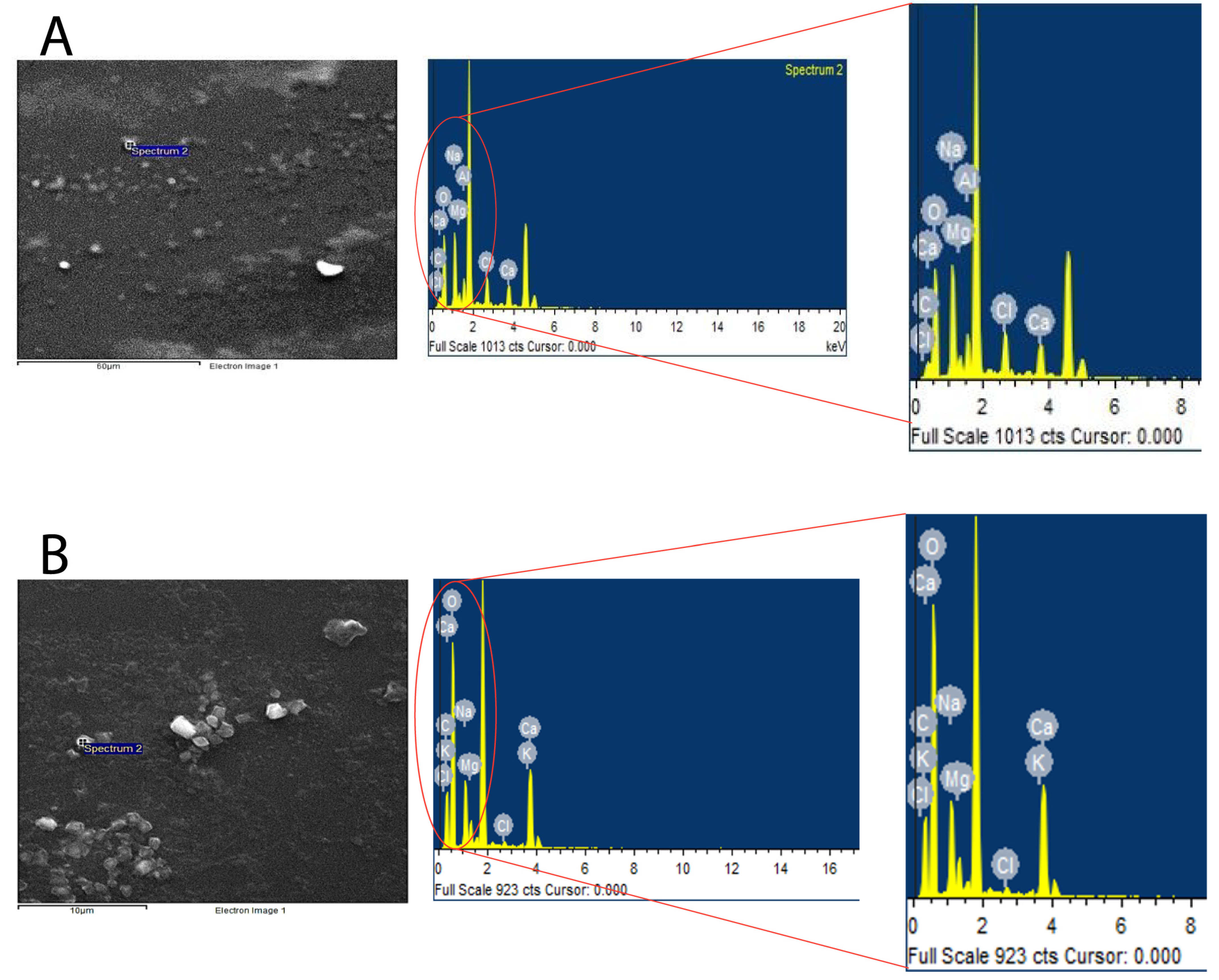 Pharmaceutics 15 00687 g007