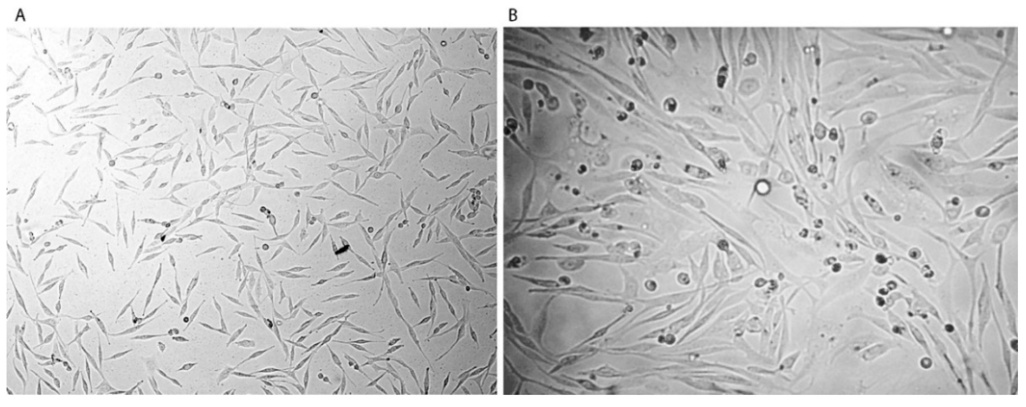 Pharmaceutics 15 00687 g009
