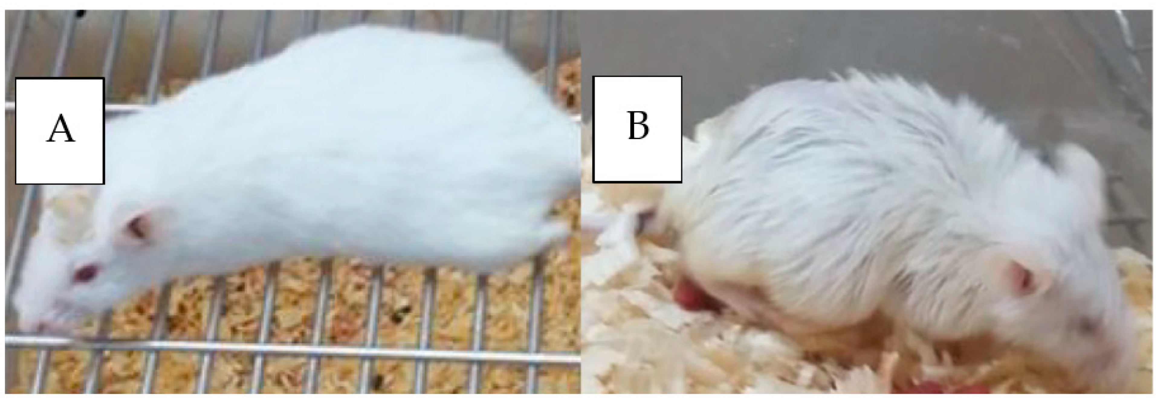 Pharmaceutics 15 00687 g015