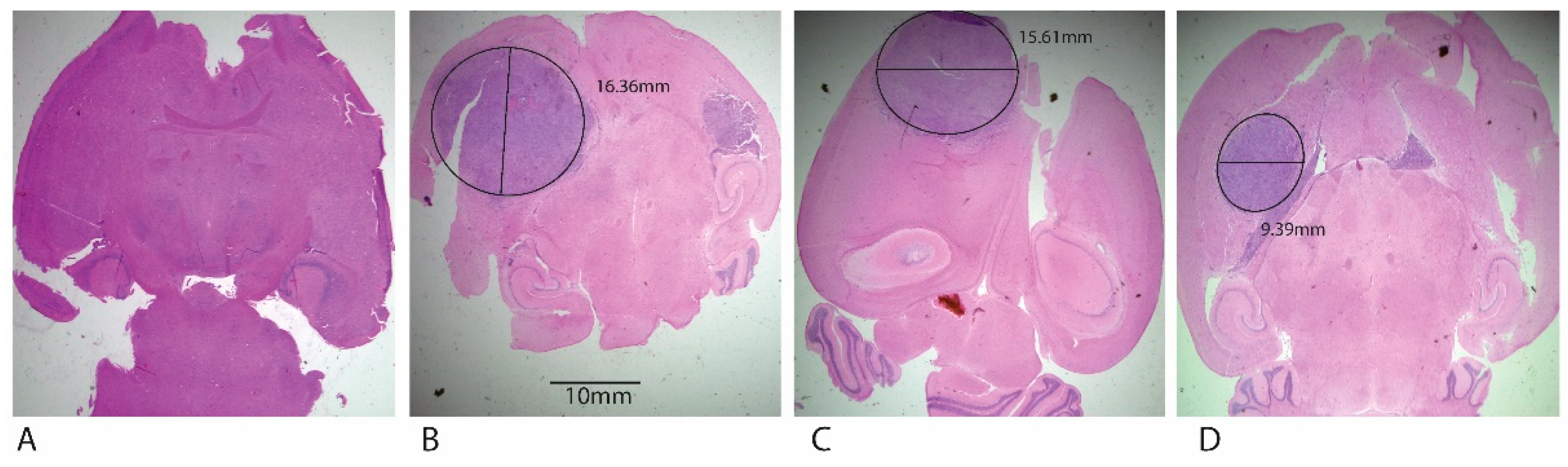 Pharmaceutics 15 00687 g016