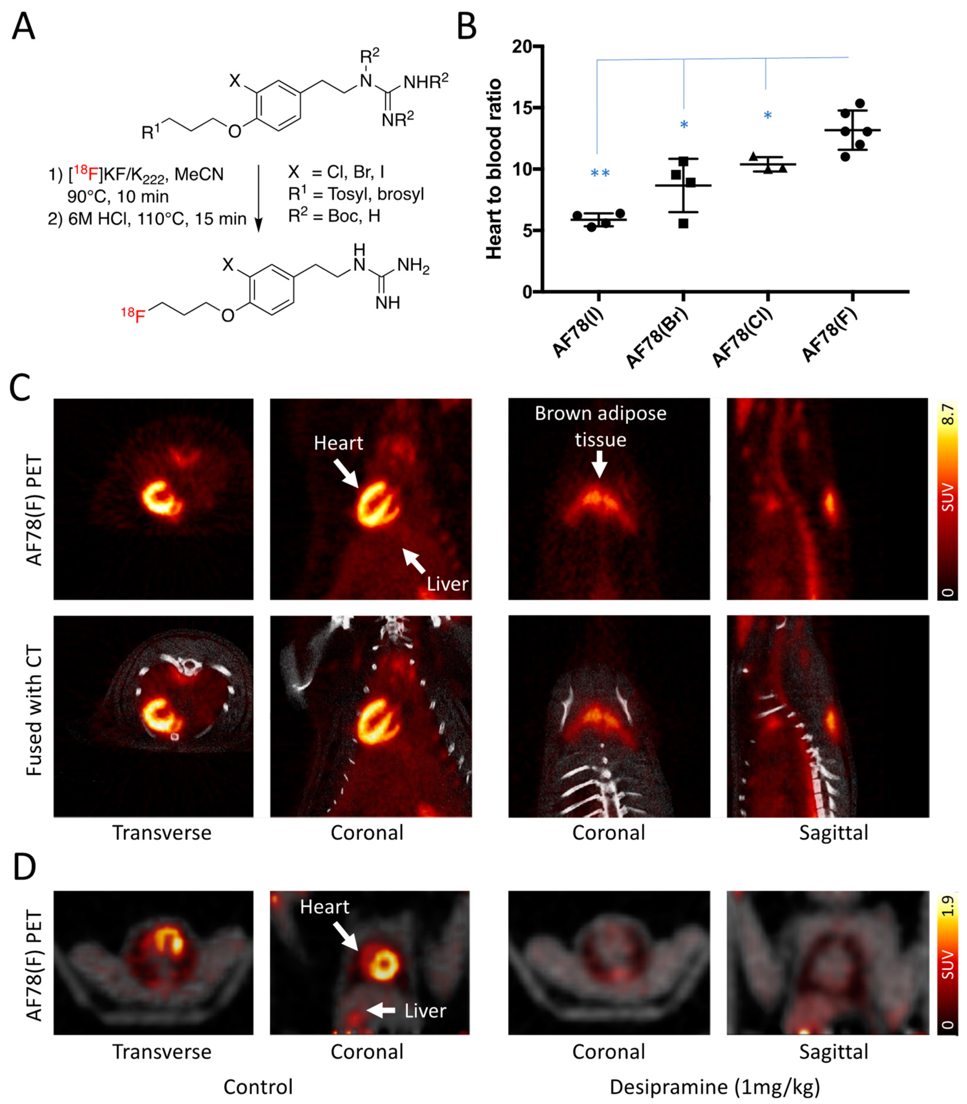 Pharmaceutics 15 00690 g002