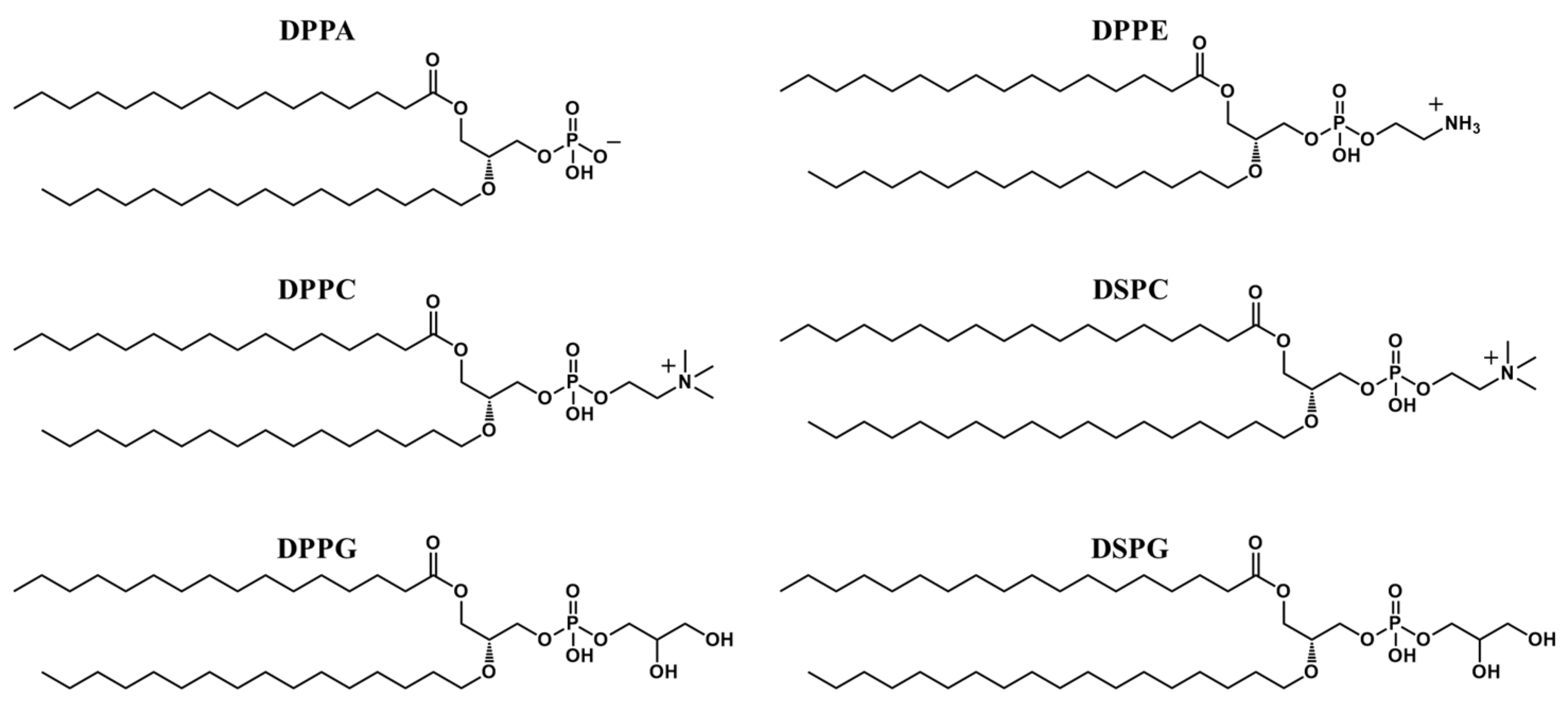 Pharmaceutics 15 00698 g001