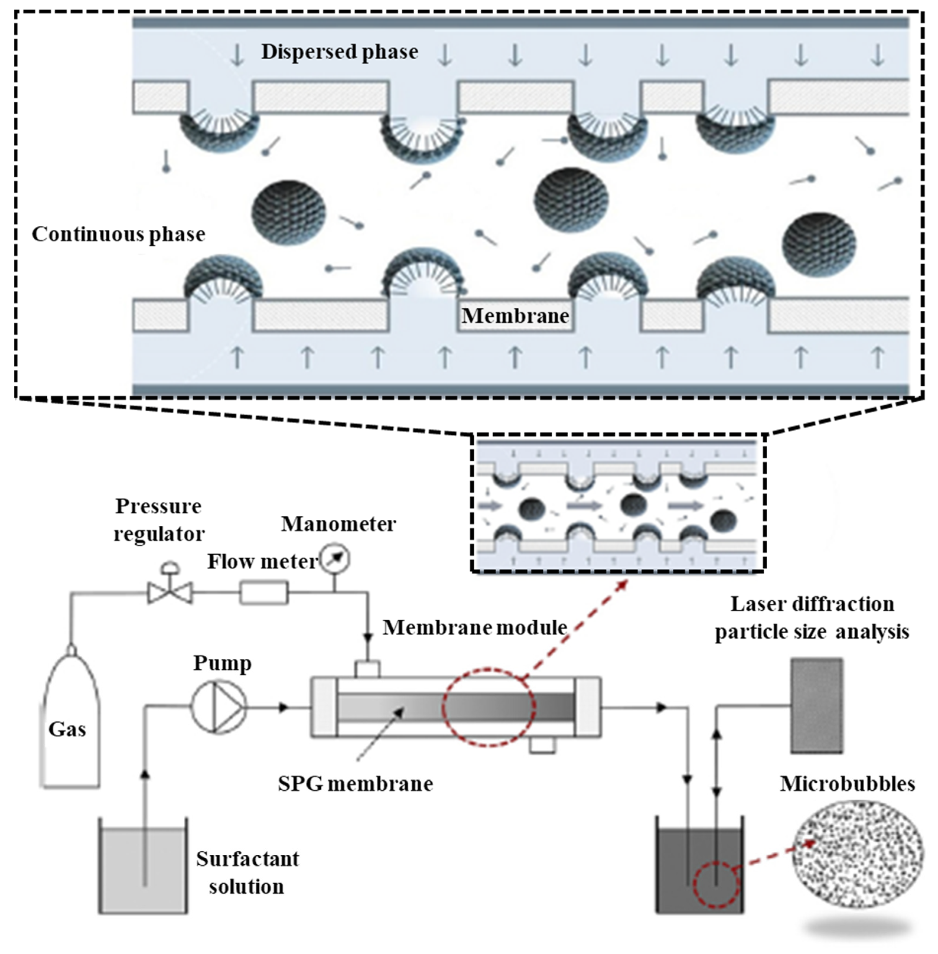 Pharmaceutics 15 00698 sch004