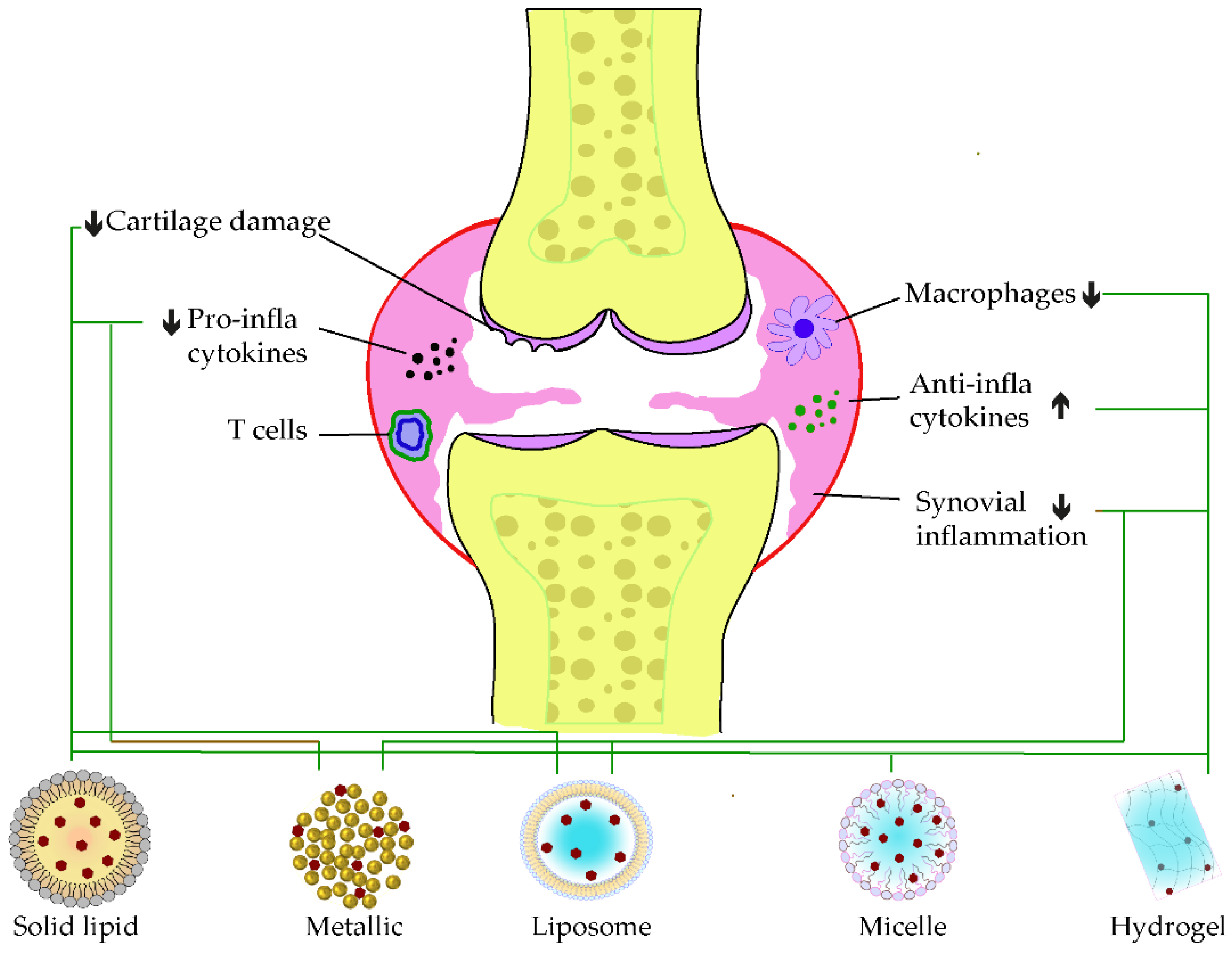 Pharmaceutics 15 00699 g004 Pharmaceutics 15 00699 g004