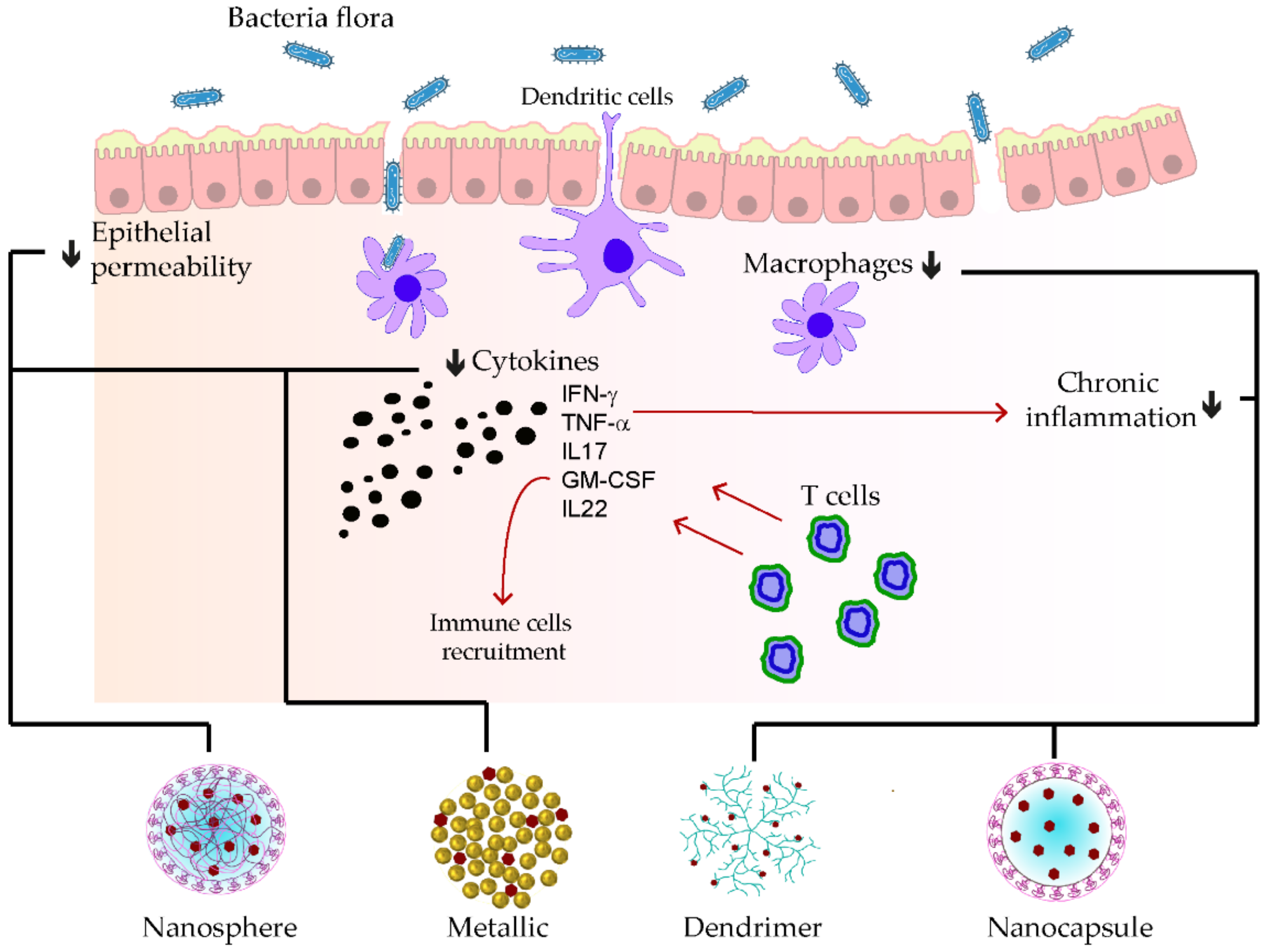 Pharmaceutics 15 00699 g005 Pharmaceutics 15 00699 g005