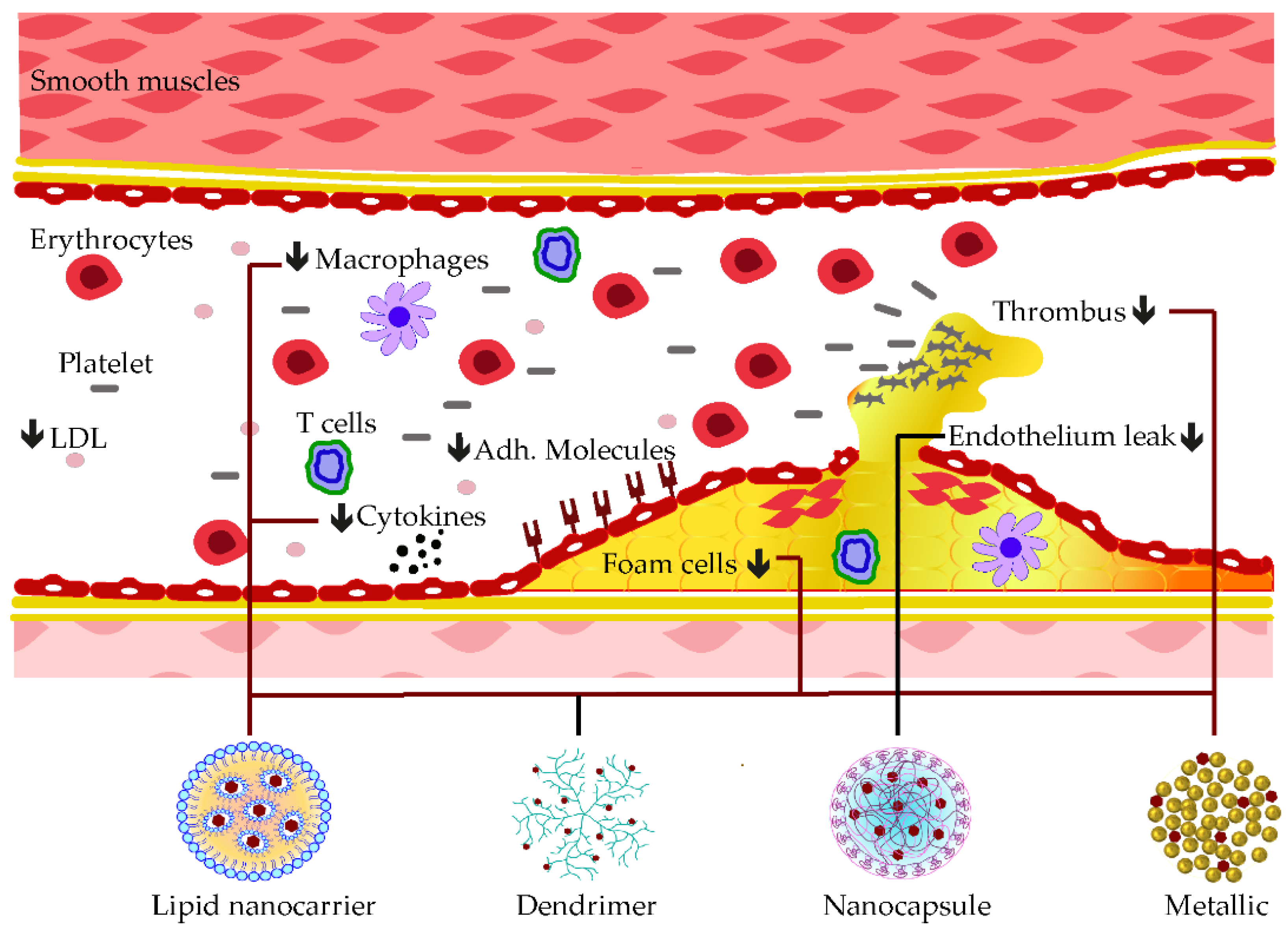 Pharmaceutics 15 00699 g006 Pharmaceutics 15 00699 g006