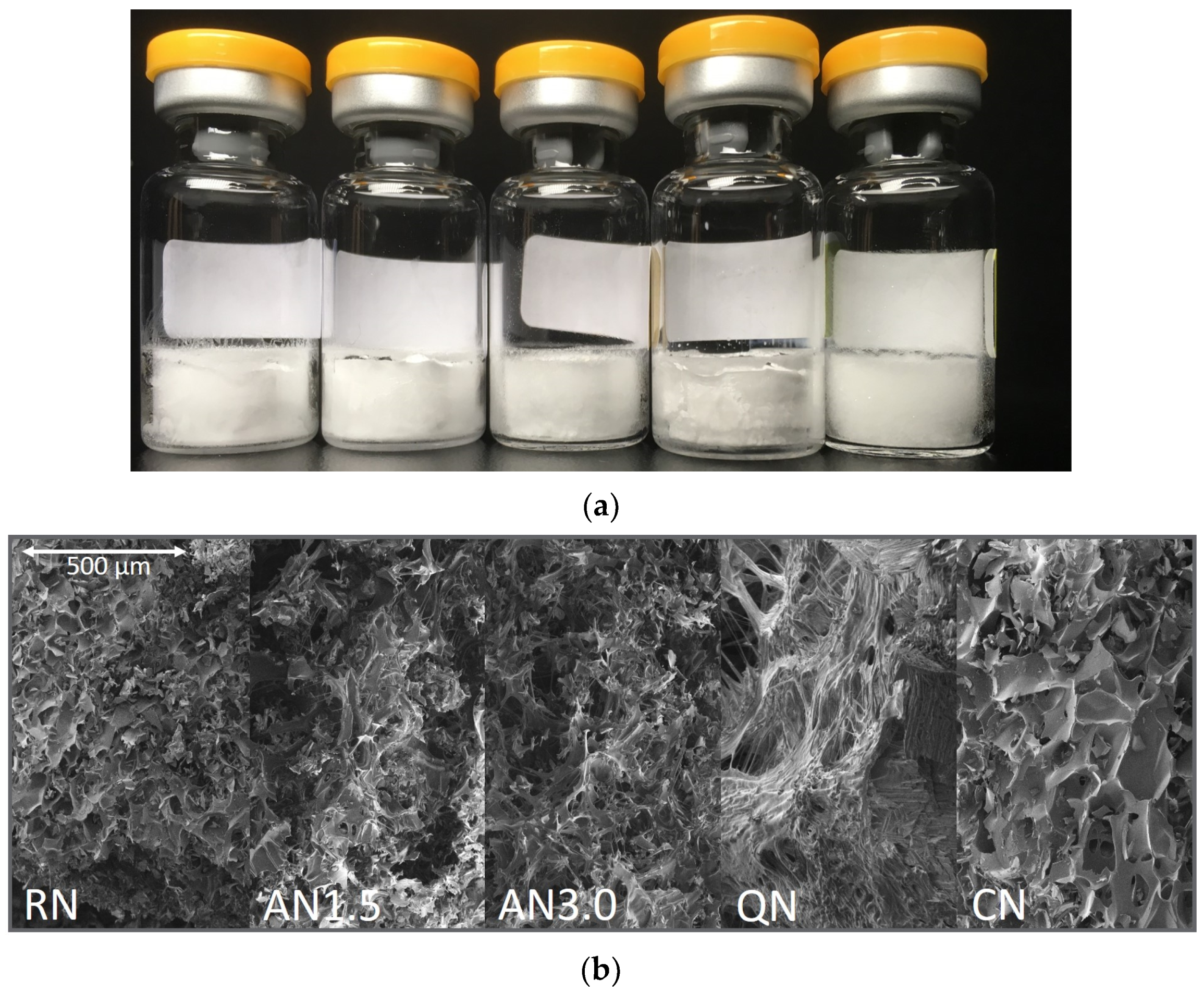 Pharmaceutics 15 00703 g002