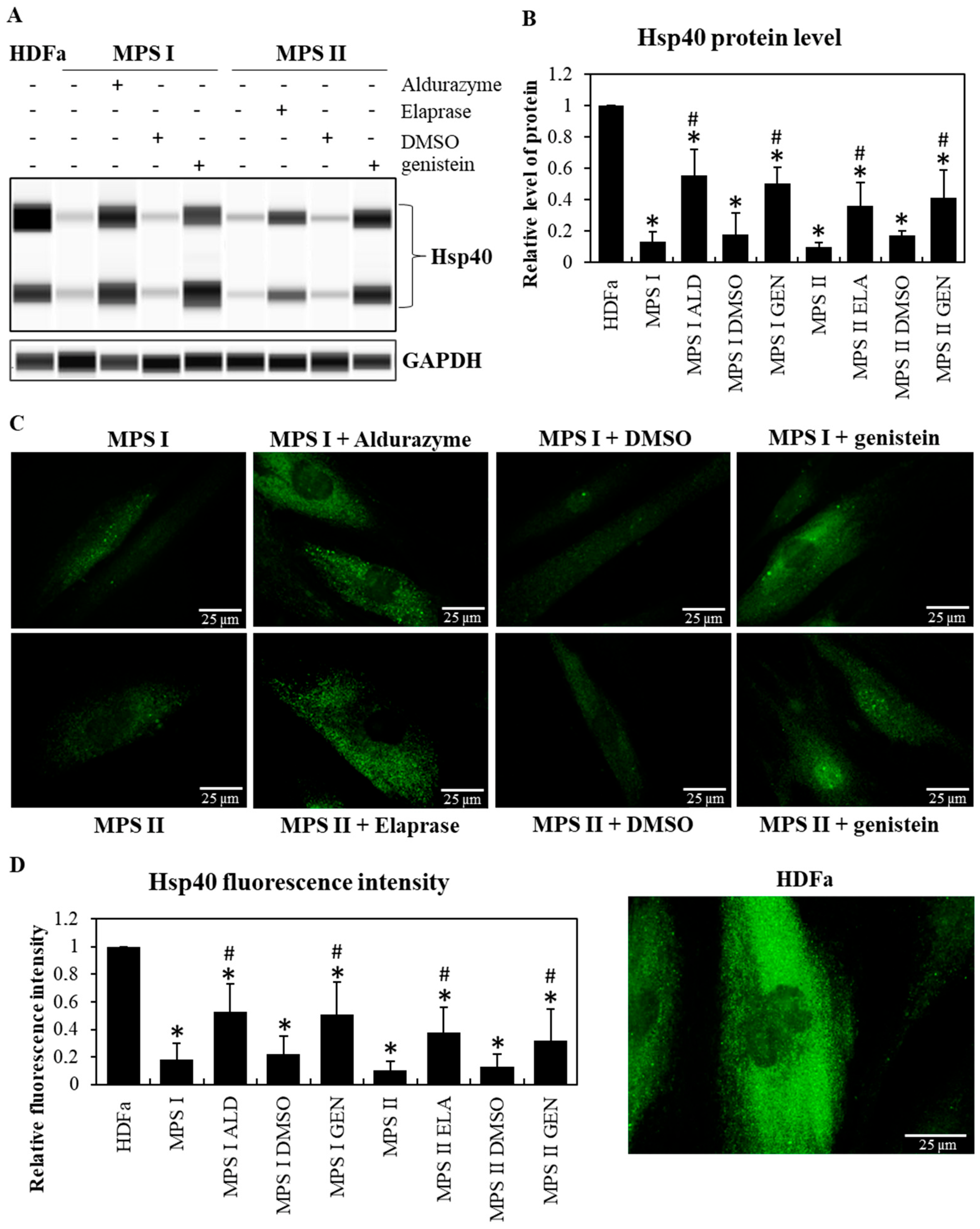 Pharmaceutics 15 00704 g002 Pharmaceutics 15 00704 g002