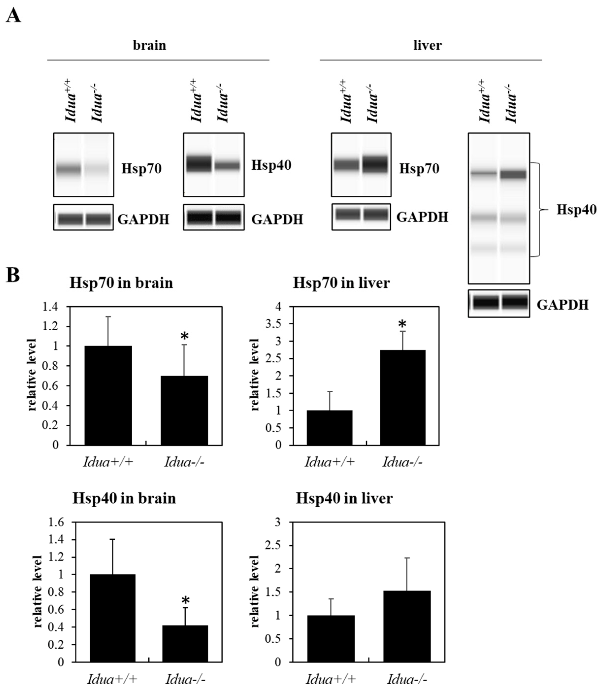 Pharmaceutics 15 00704 g004 Pharmaceutics 15 00704 g004