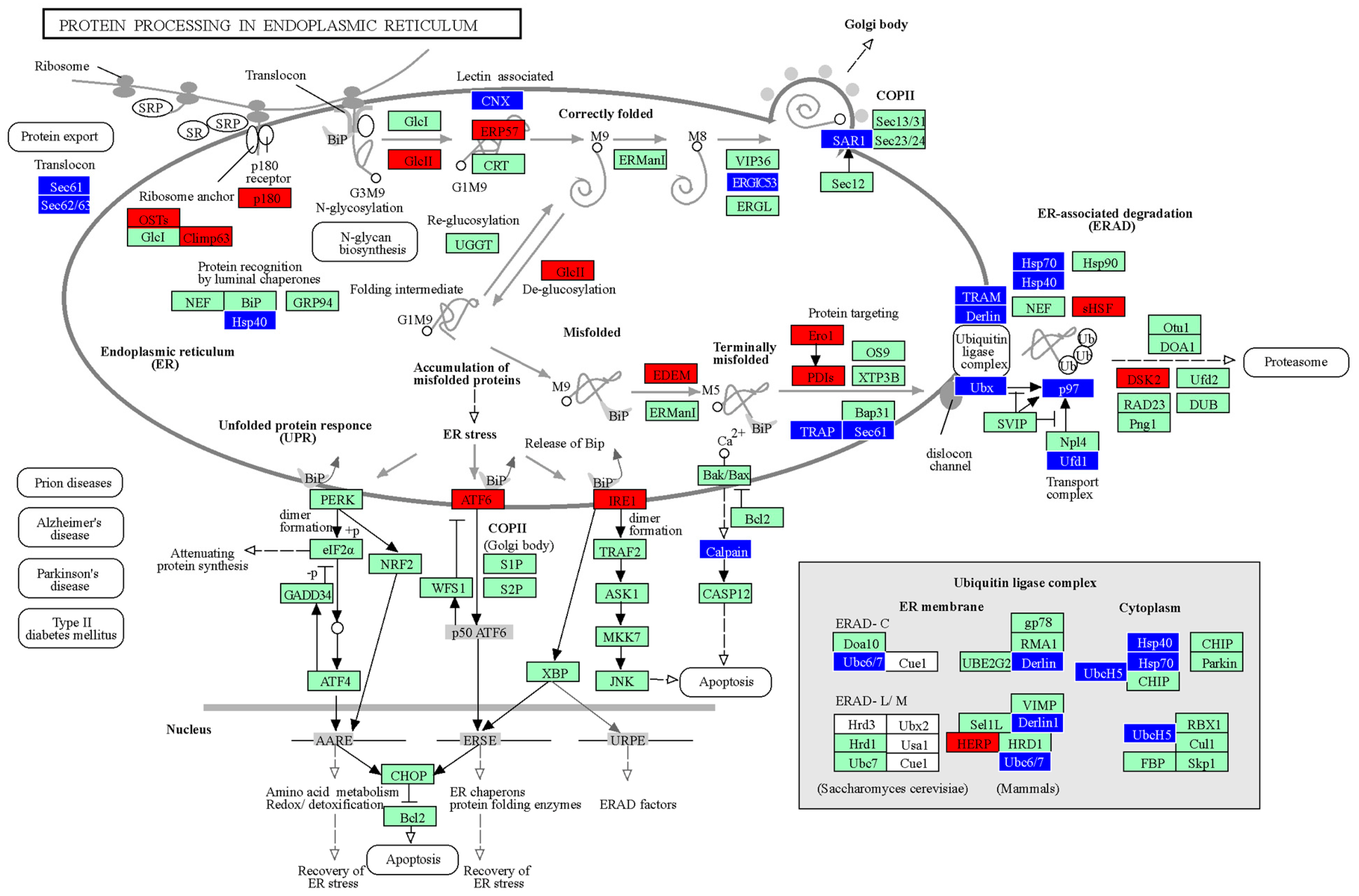 Pharmaceutics 15 00704 g007 Pharmaceutics 15 00704 g007