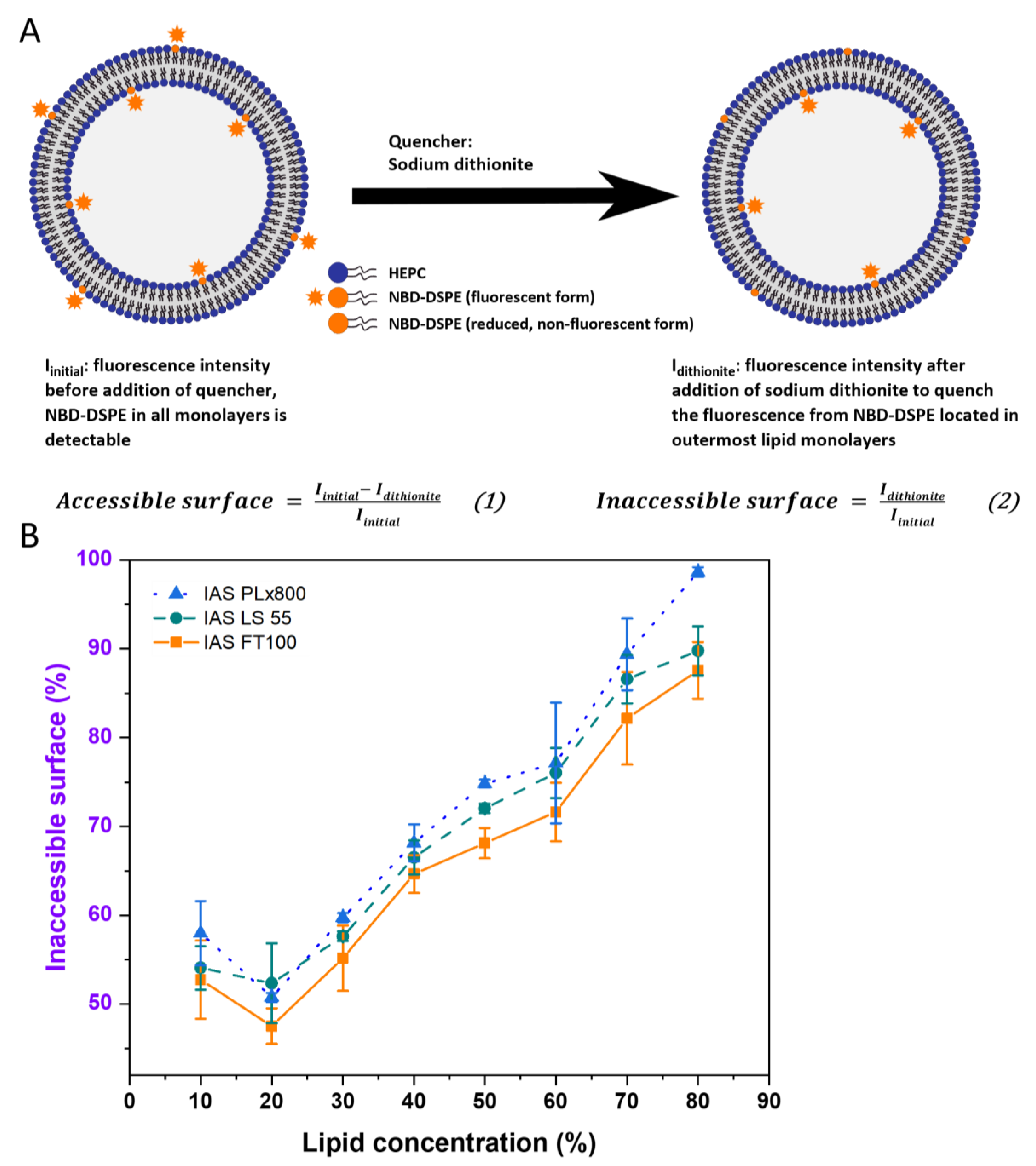 Pharmaceutics 15 00706 g001