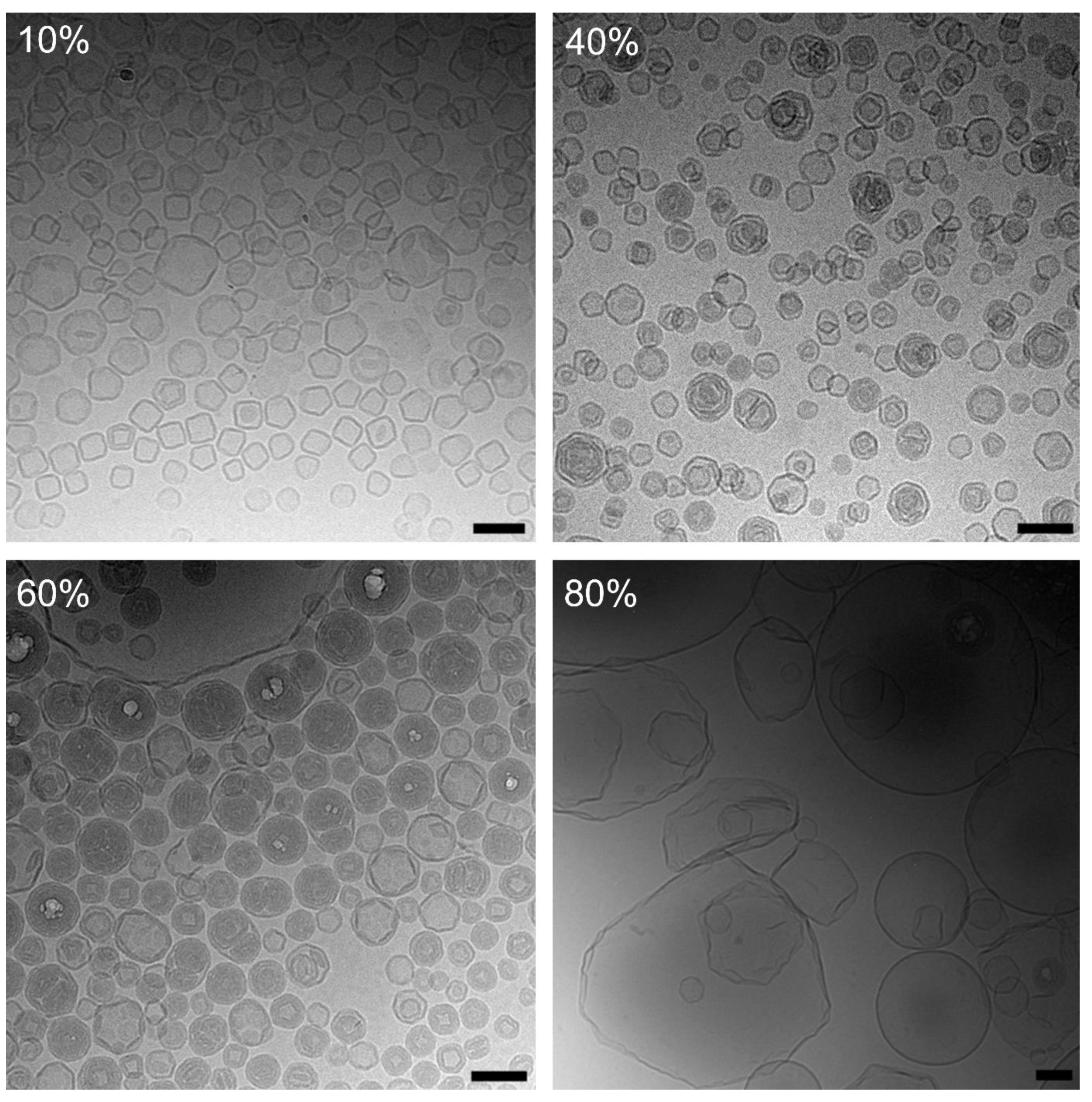 Pharmaceutics 15 00706 g007