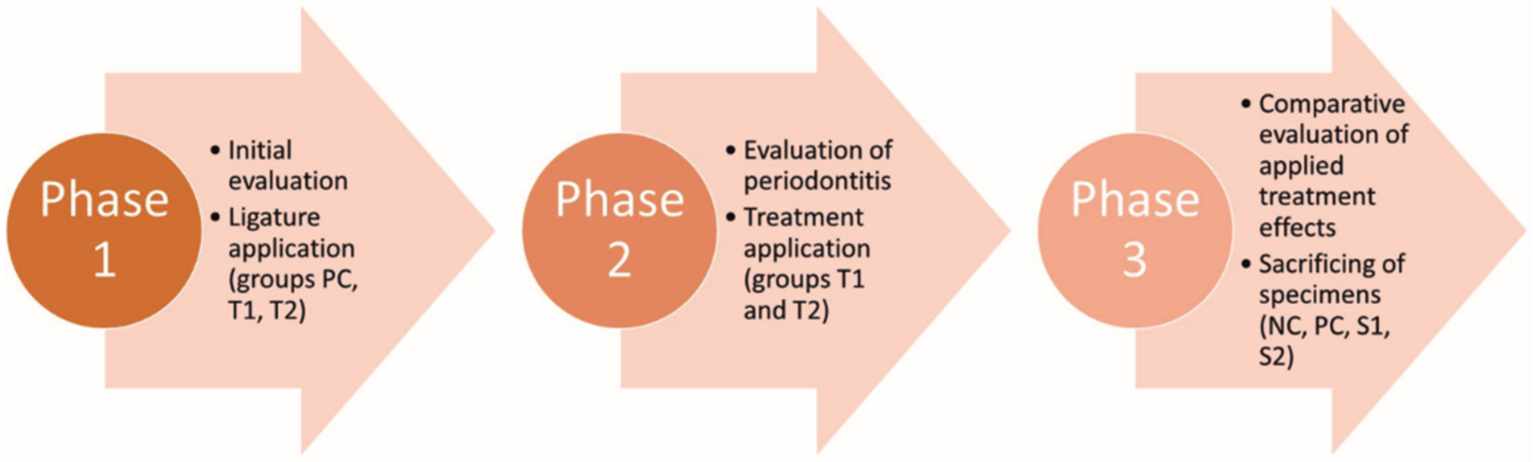 Pharmaceutics 15 00707 g002