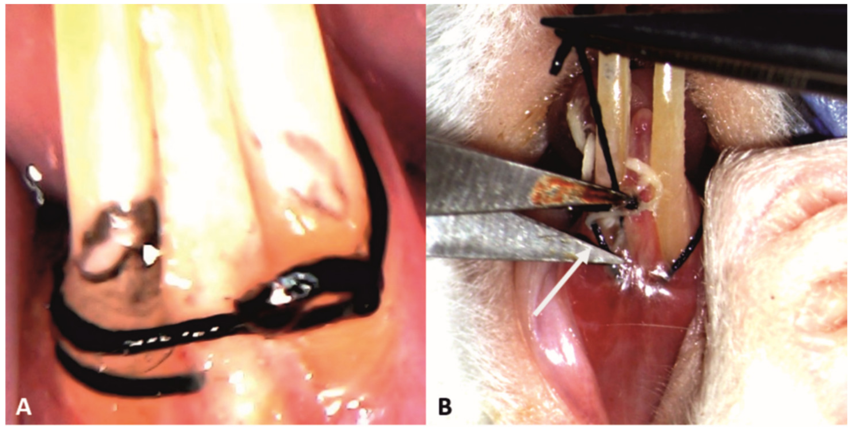 Pharmaceutics 15 00707 g003