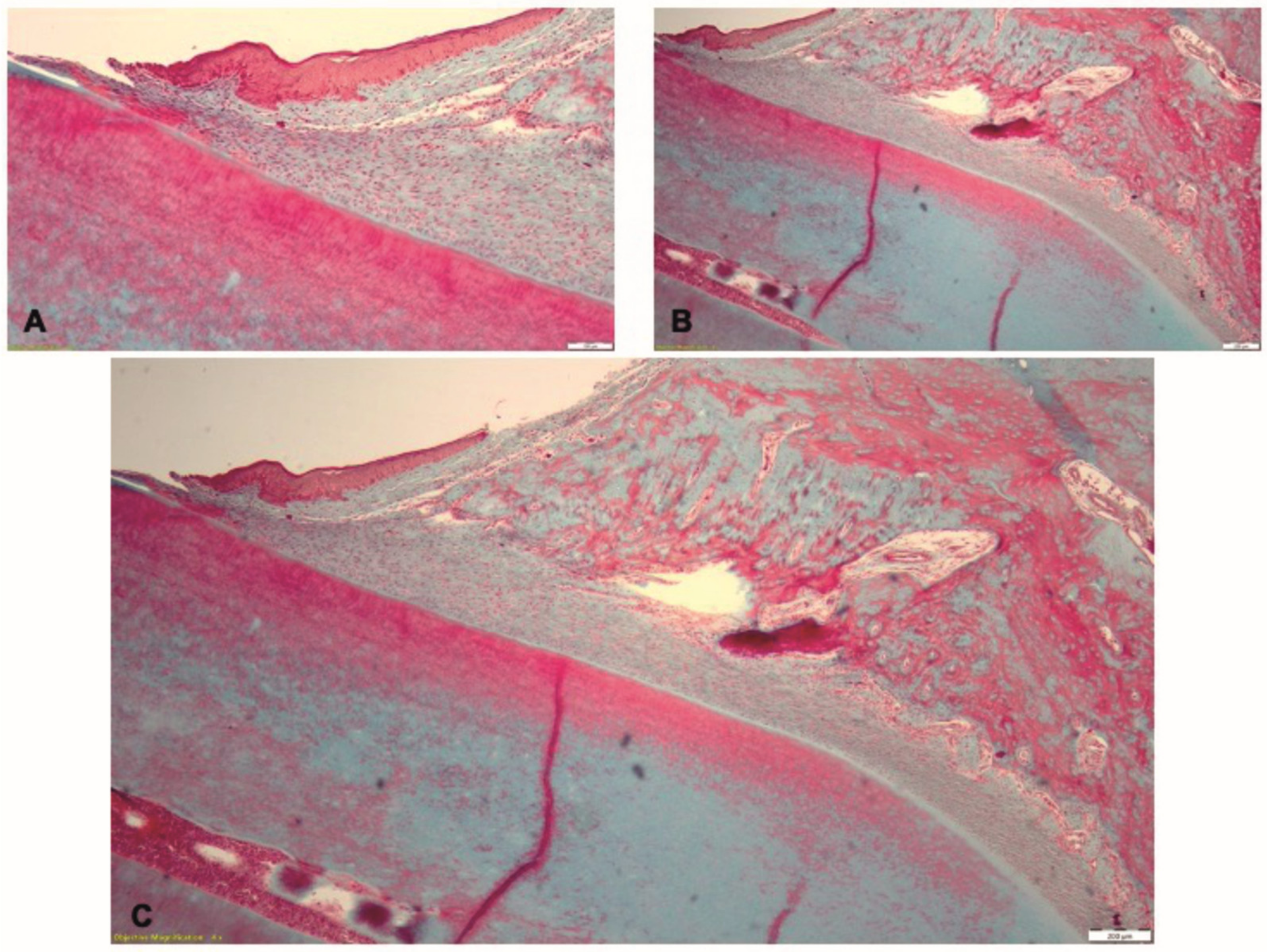 Pharmaceutics 15 00707 g012