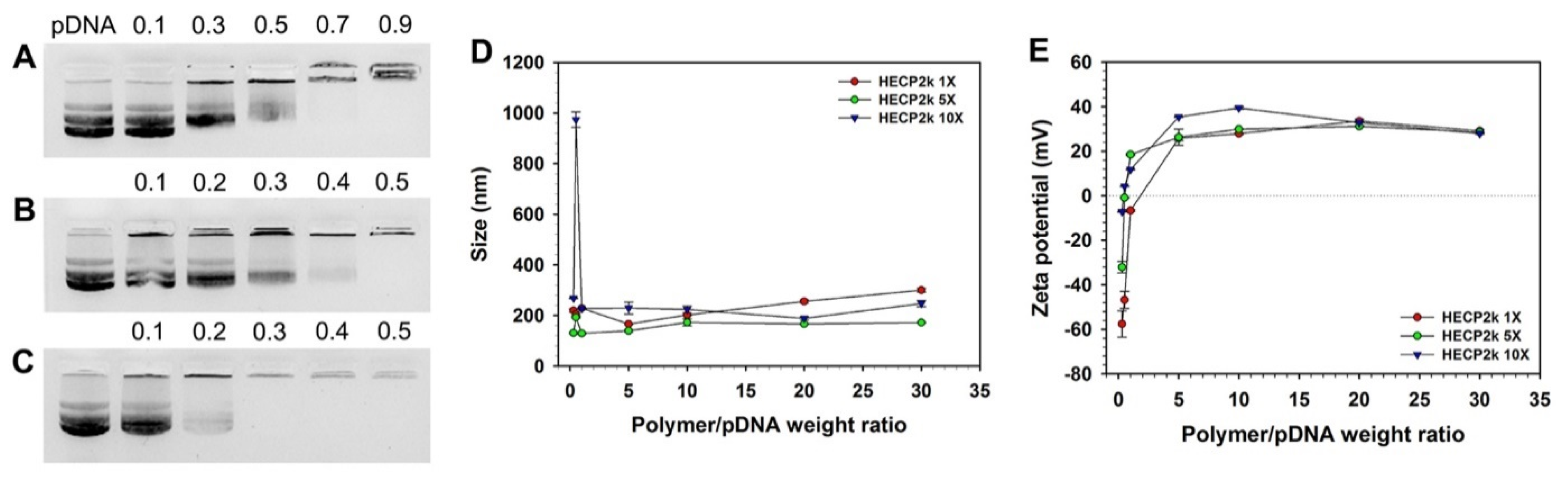 Pharmaceutics 15 00708 g002