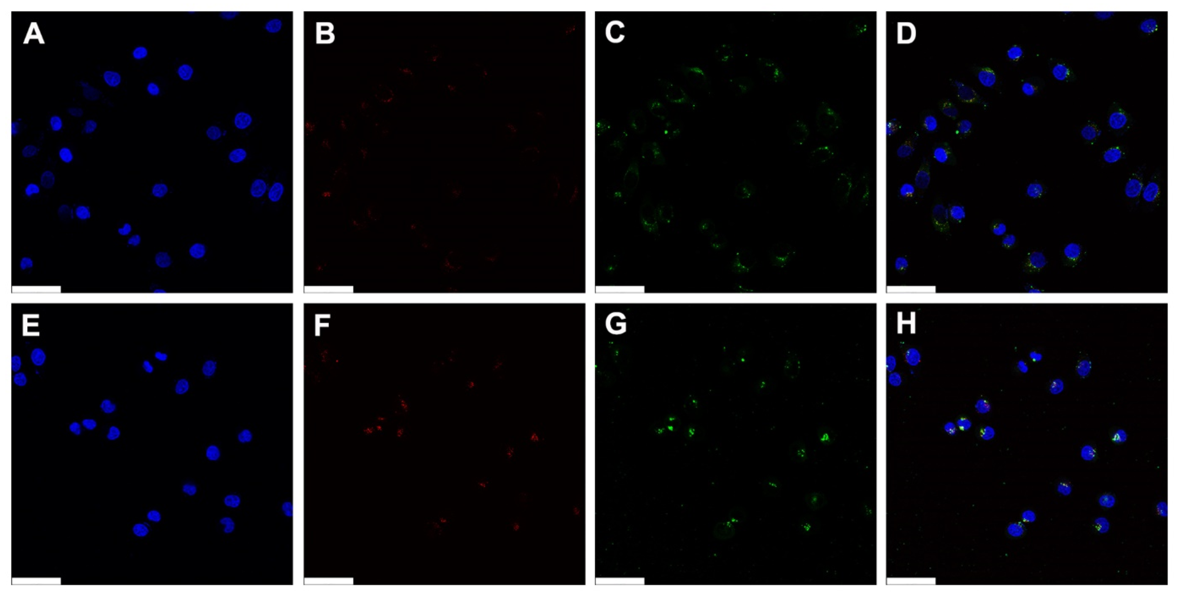 Pharmaceutics 15 00708 g006