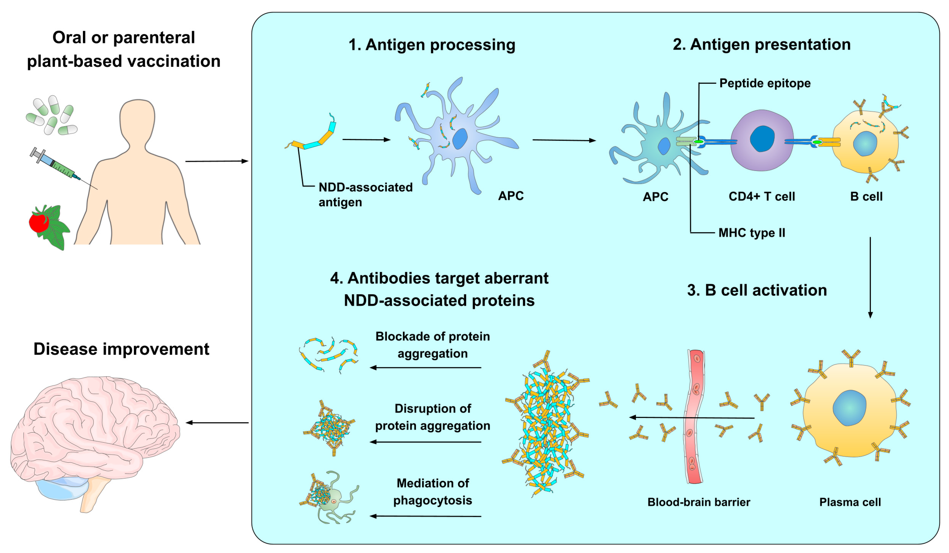 Pharmaceutics 15 00711 g002 Pharmaceutics 15 00711 g002
