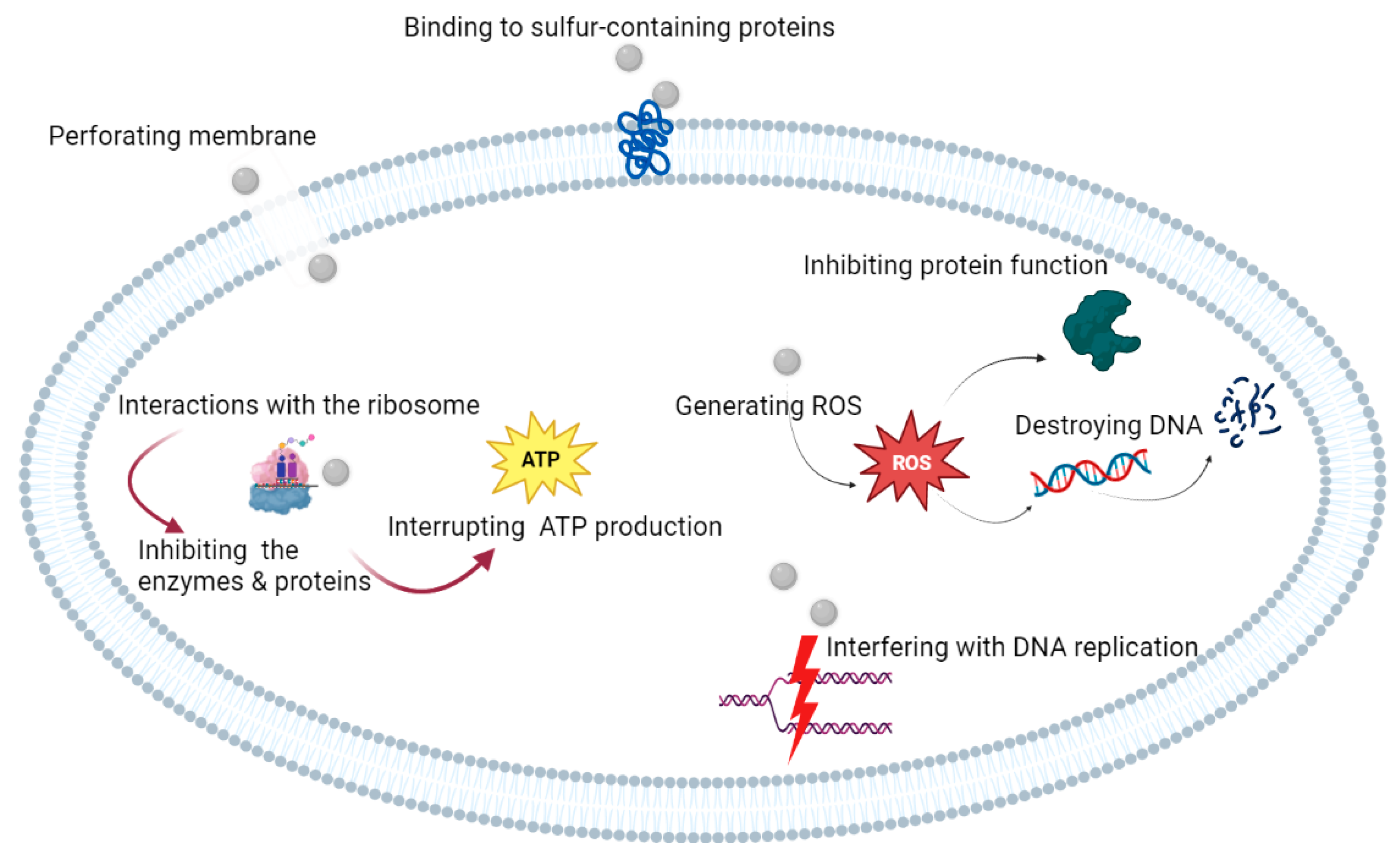 Pharmaceutics 15 00715 g002