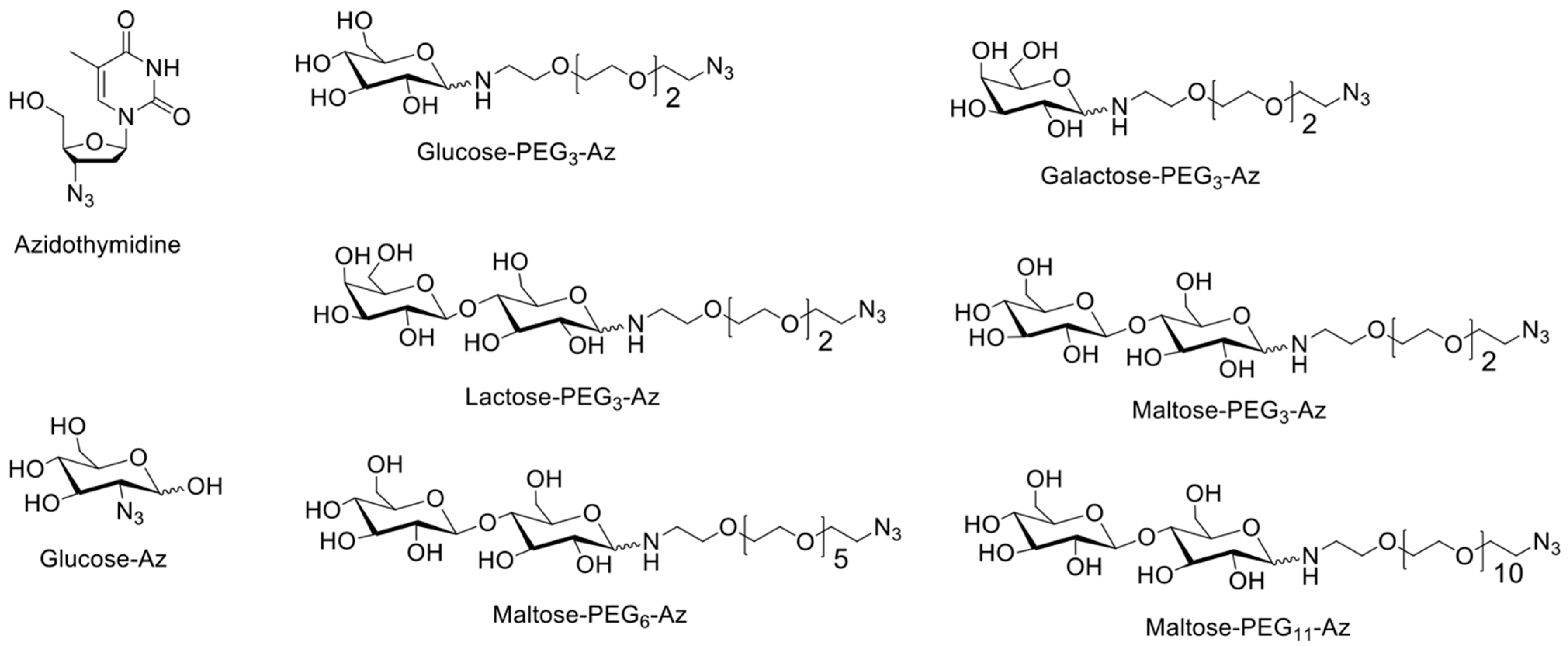 Pharmaceutics 15 00719 g002