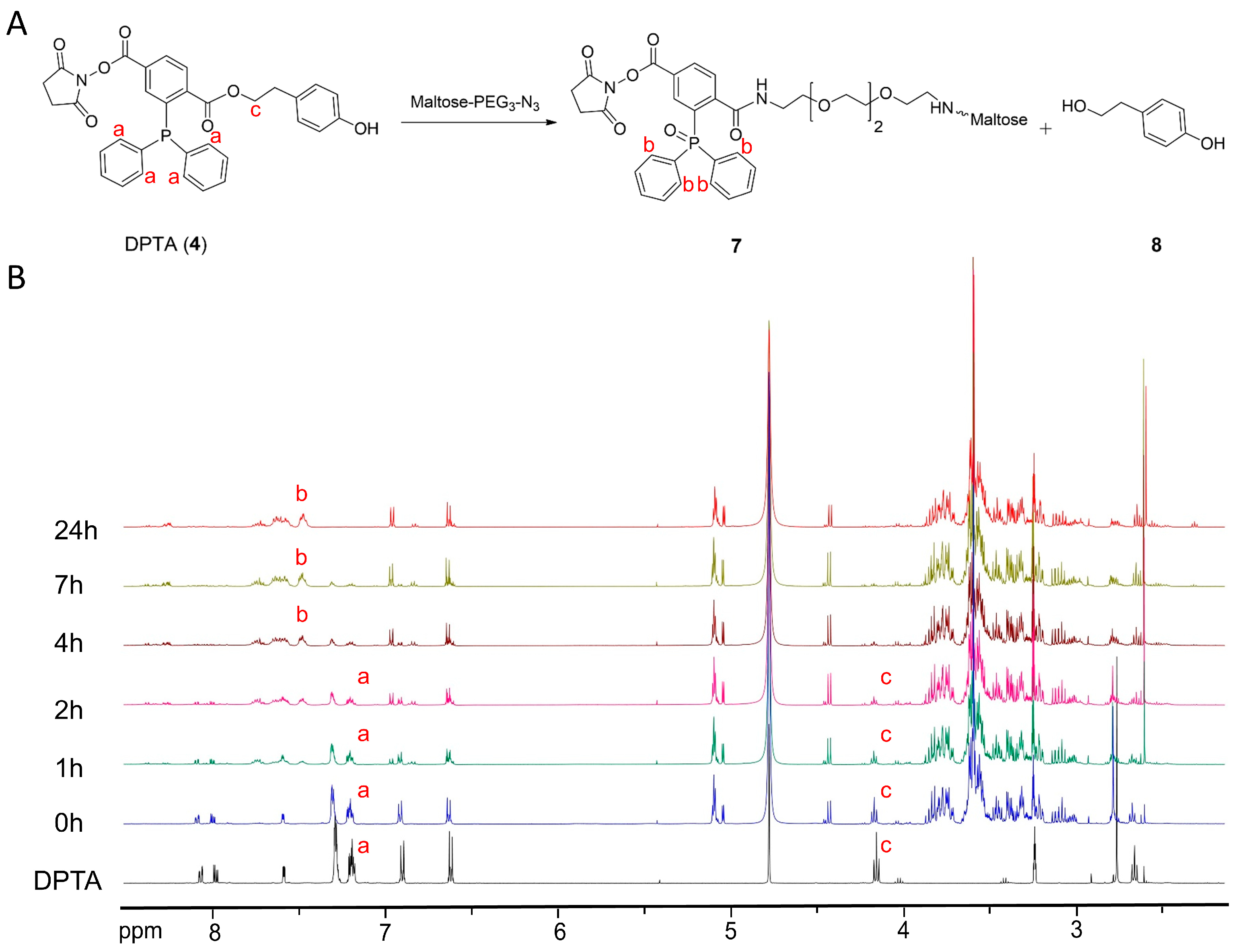 Pharmaceutics 15 00719 g003