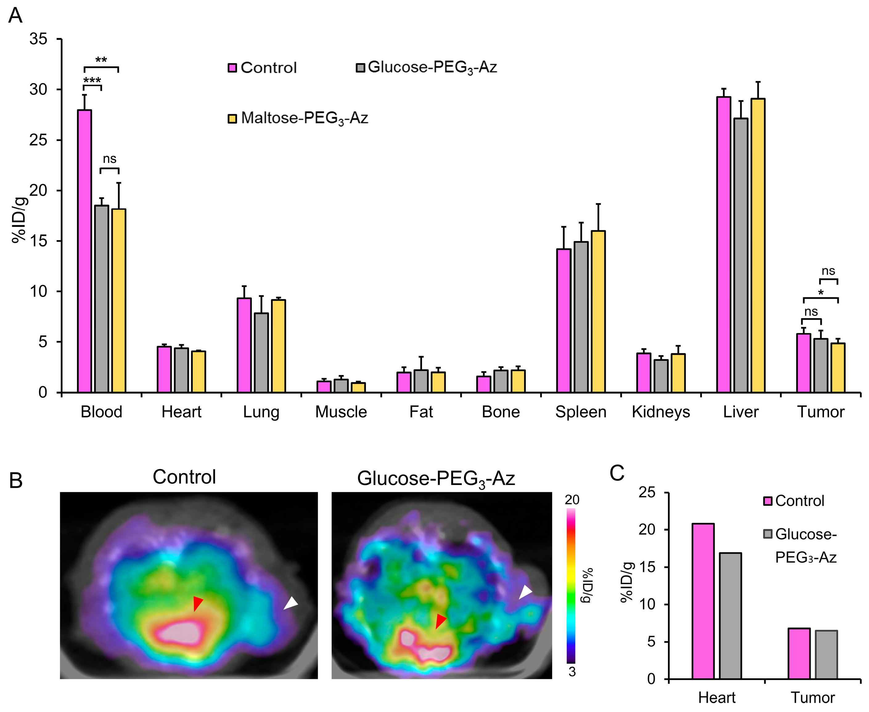 Pharmaceutics 15 00719 g008