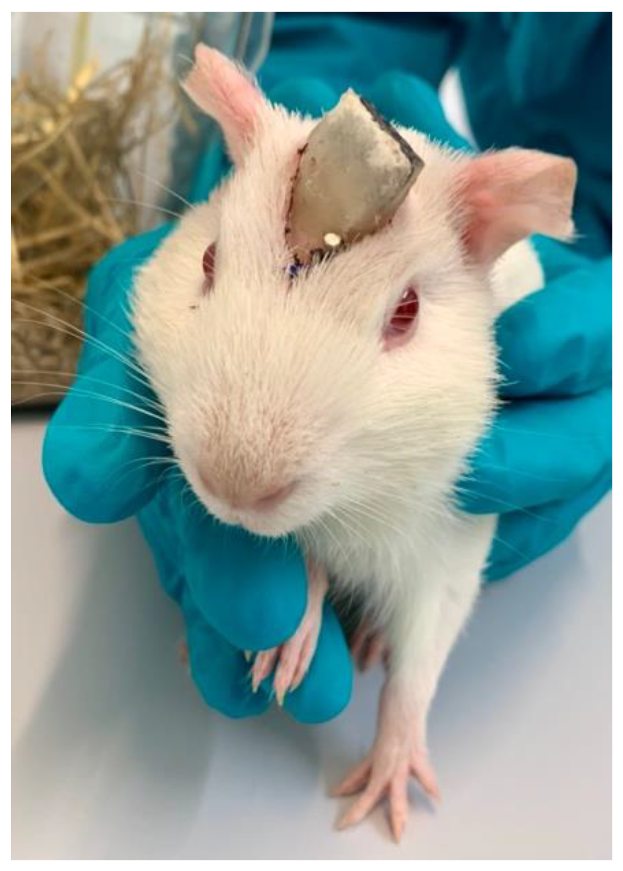 Pharmaceutics 15 00726 g002