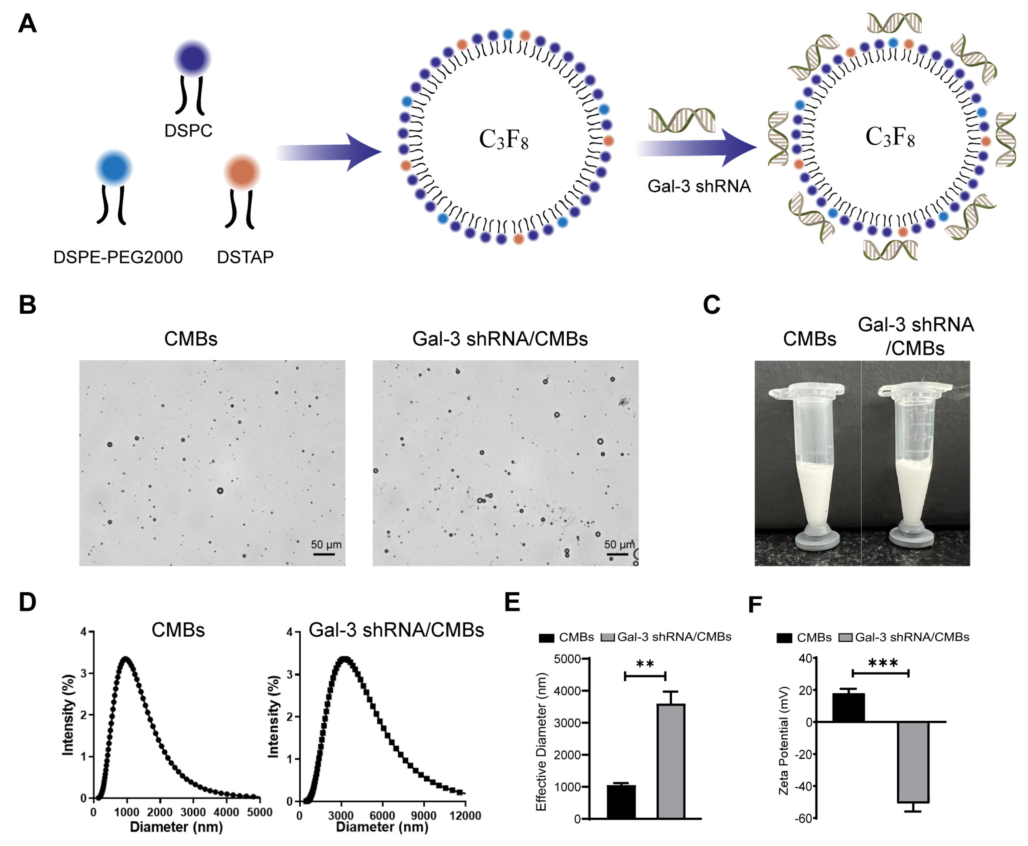 Pharmaceutics 15 00729 g002 Pharmaceutics 15 00729 g002