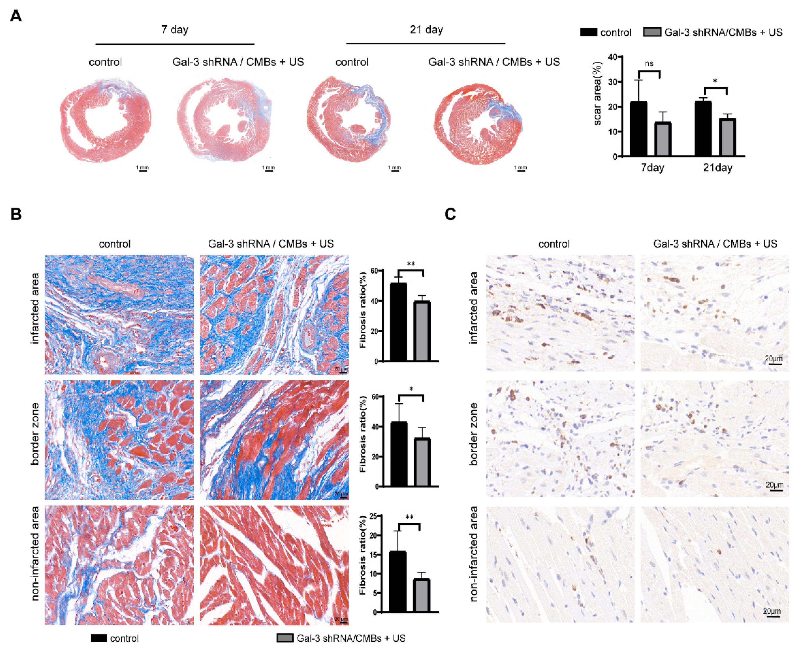 Pharmaceutics 15 00729 g005 Pharmaceutics 15 00729 g005