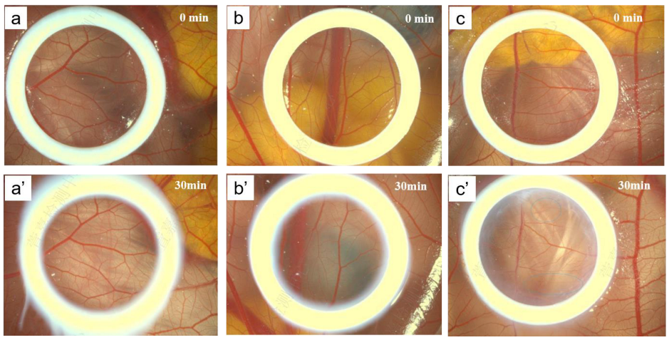 Pharmaceutics 15 00731 g005