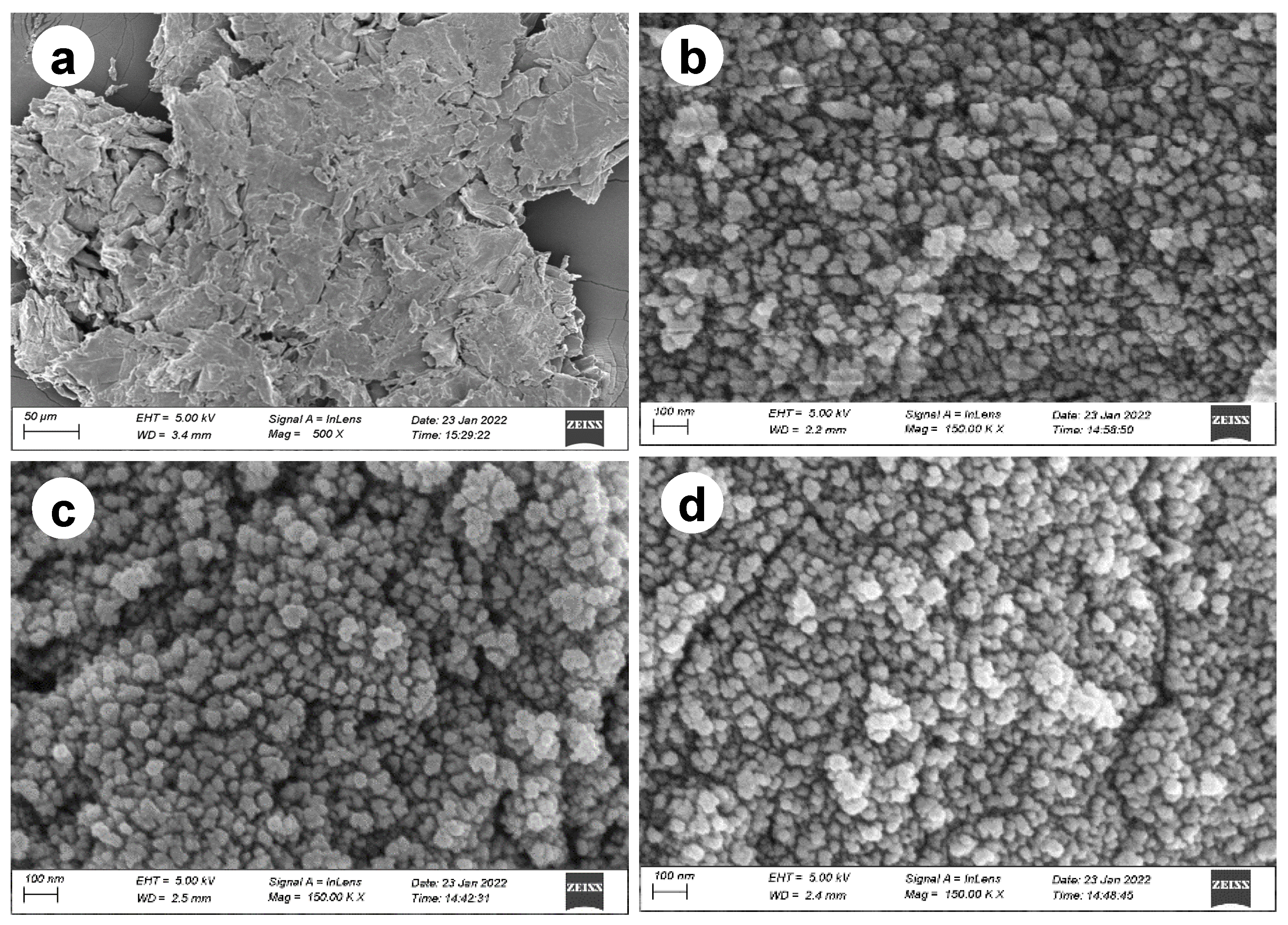 Pharmaceutics 15 00732 g006 Pharmaceutics 15 00732 g006