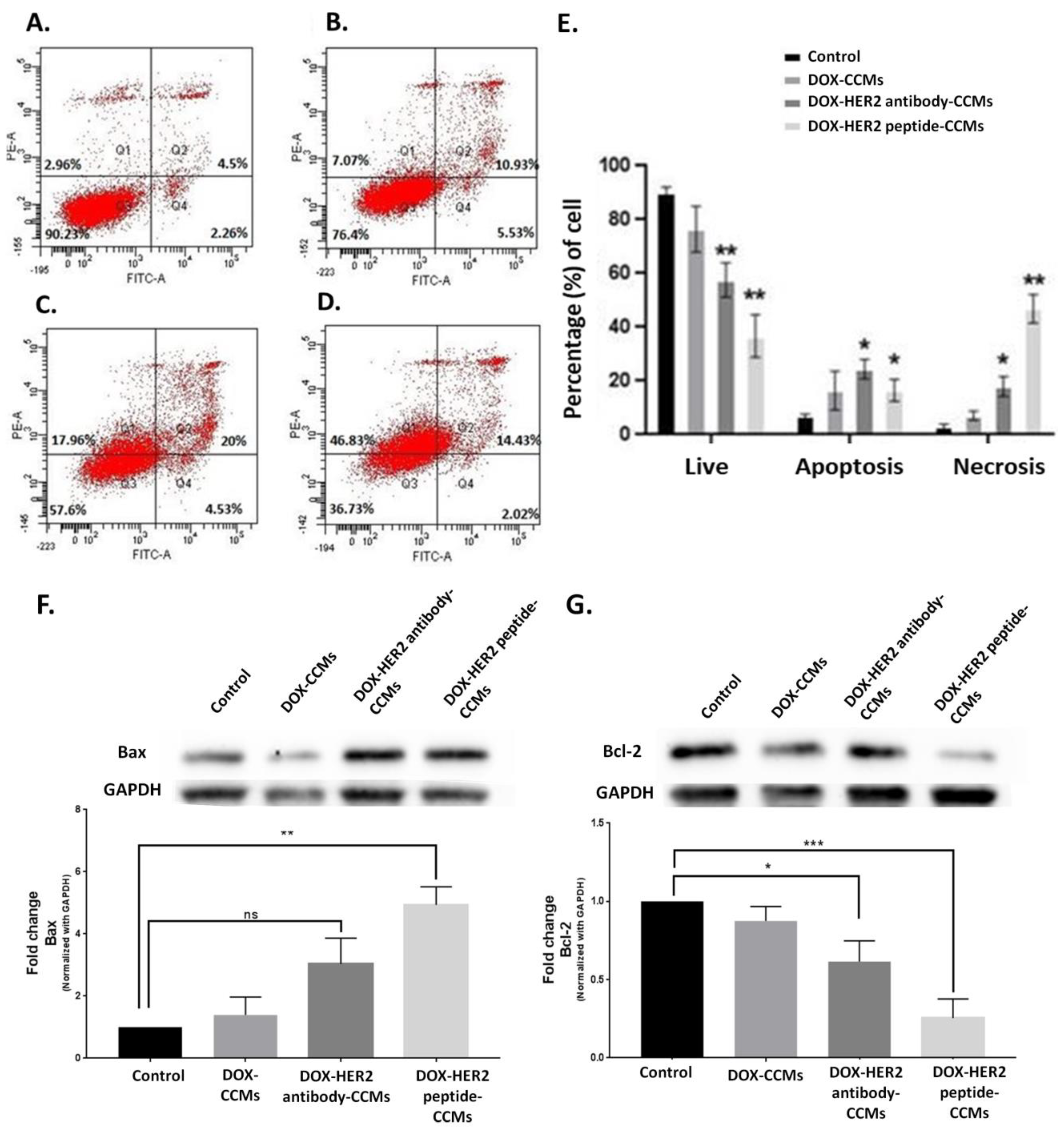 Pharmaceutics 15 00733 g008 Pharmaceutics 15 00733 g008