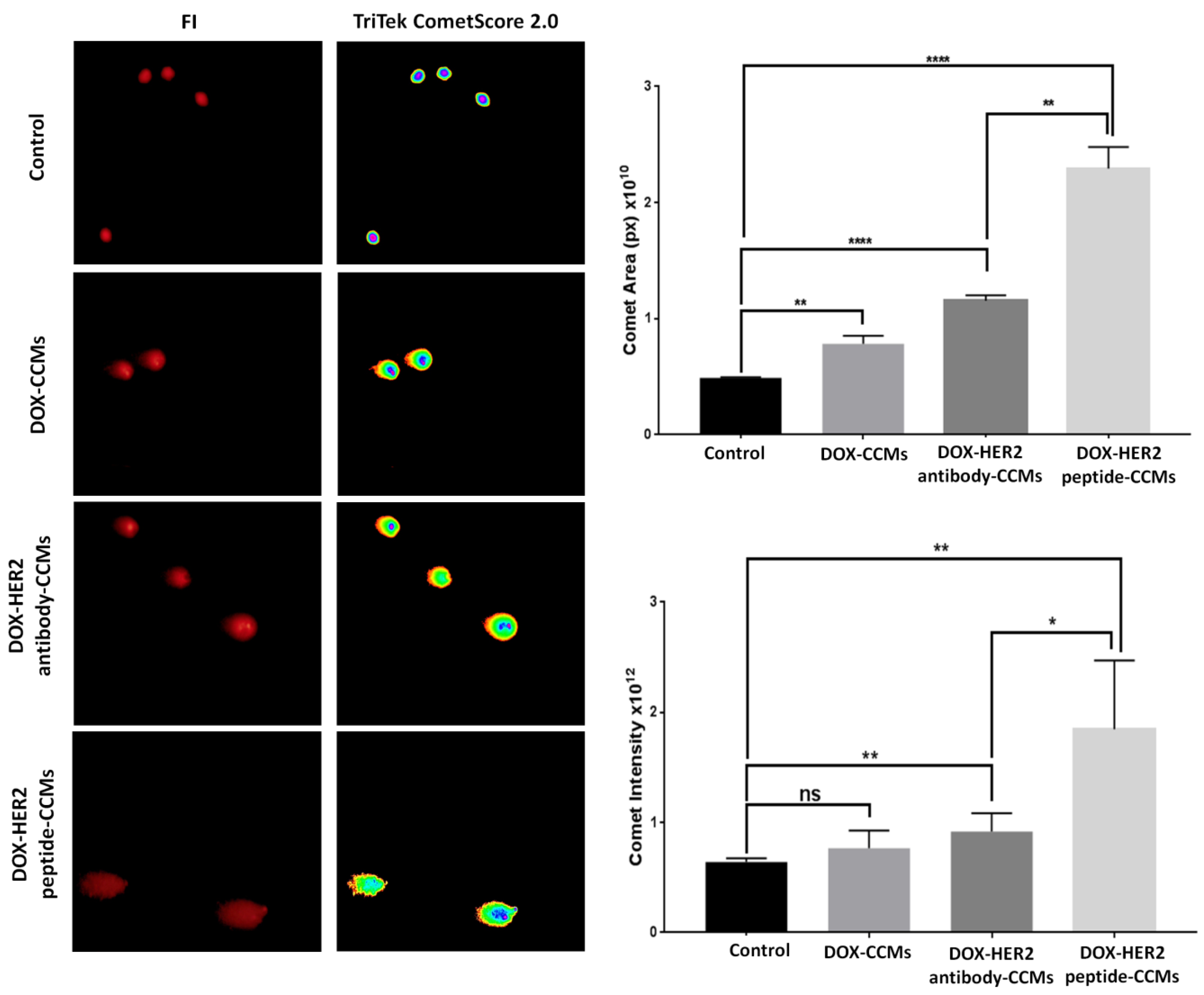 Pharmaceutics 15 00733 g010 Pharmaceutics 15 00733 g010