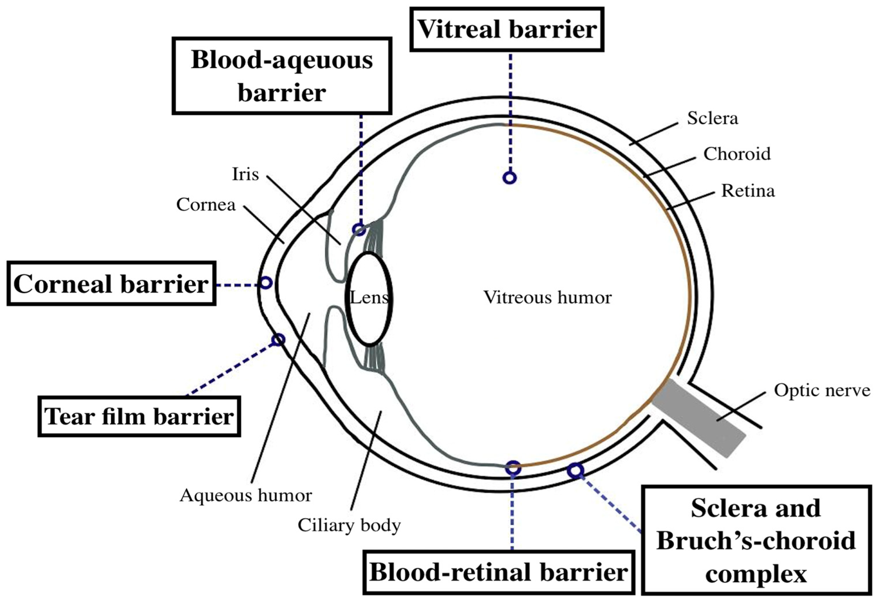 Pharmaceutics 15 00734 g001